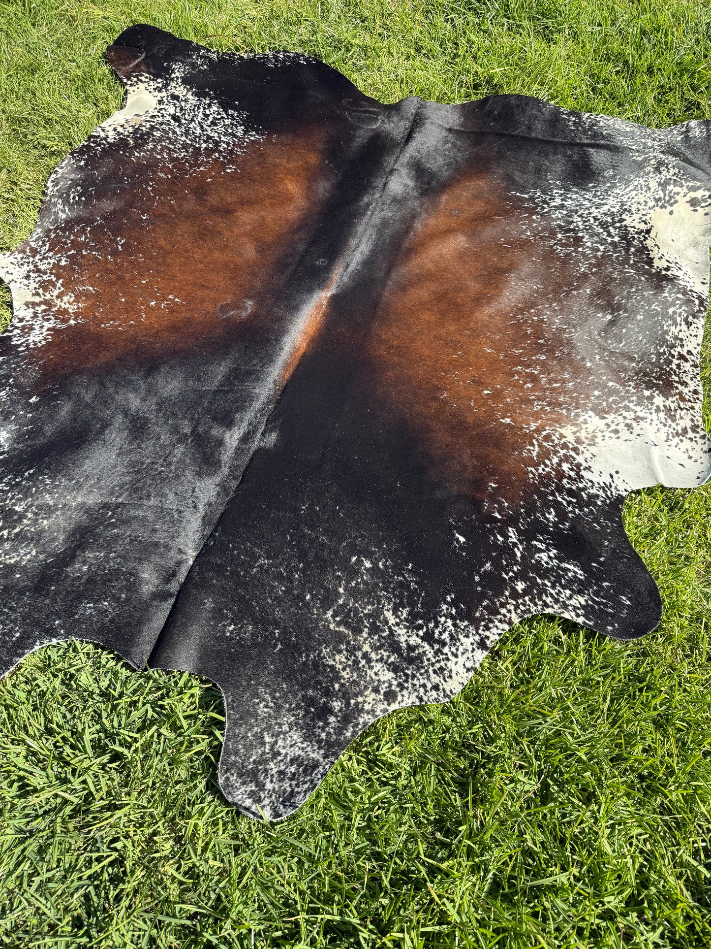 Cowhide Rug 405