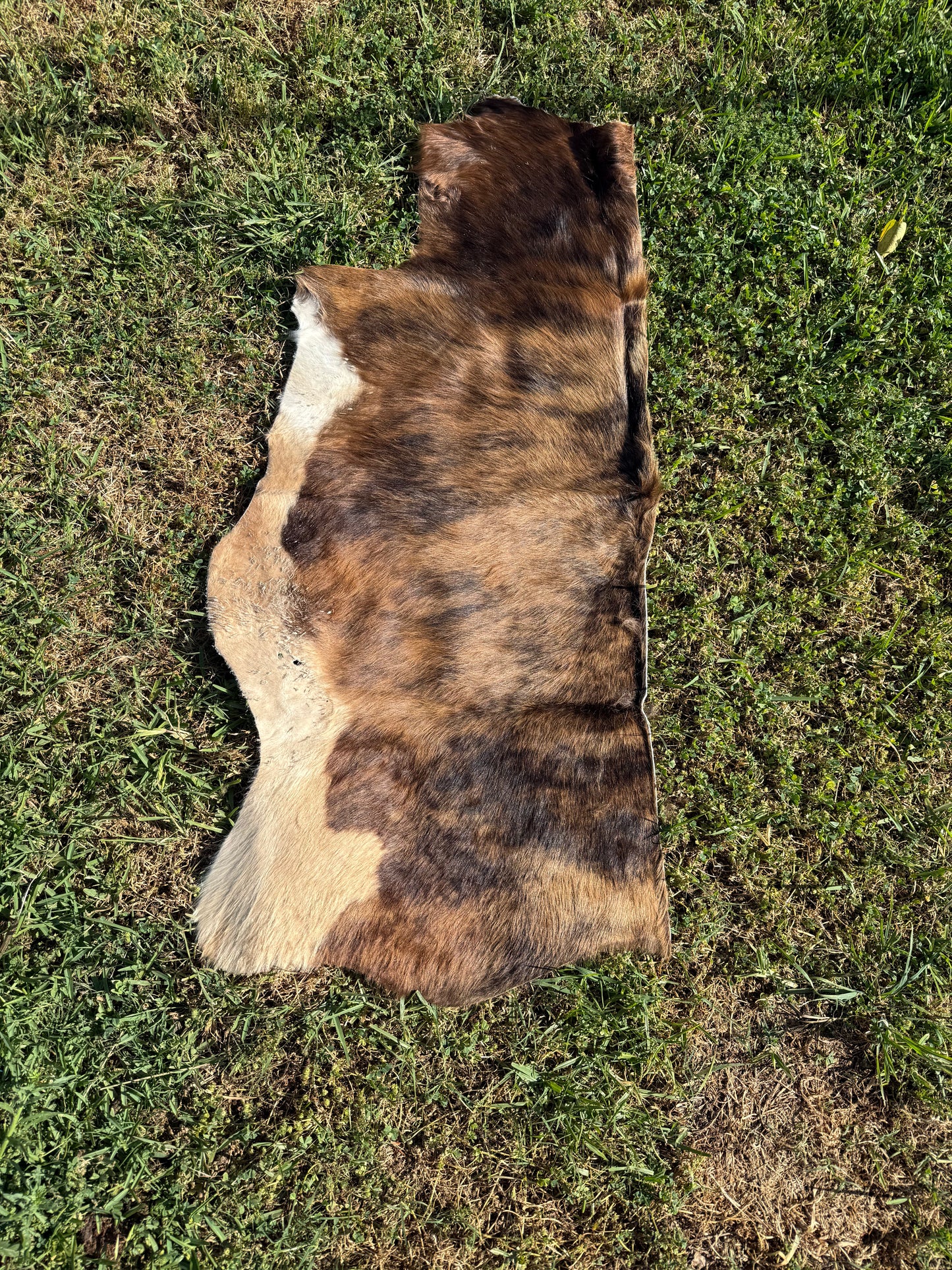 Craft hide side - 40