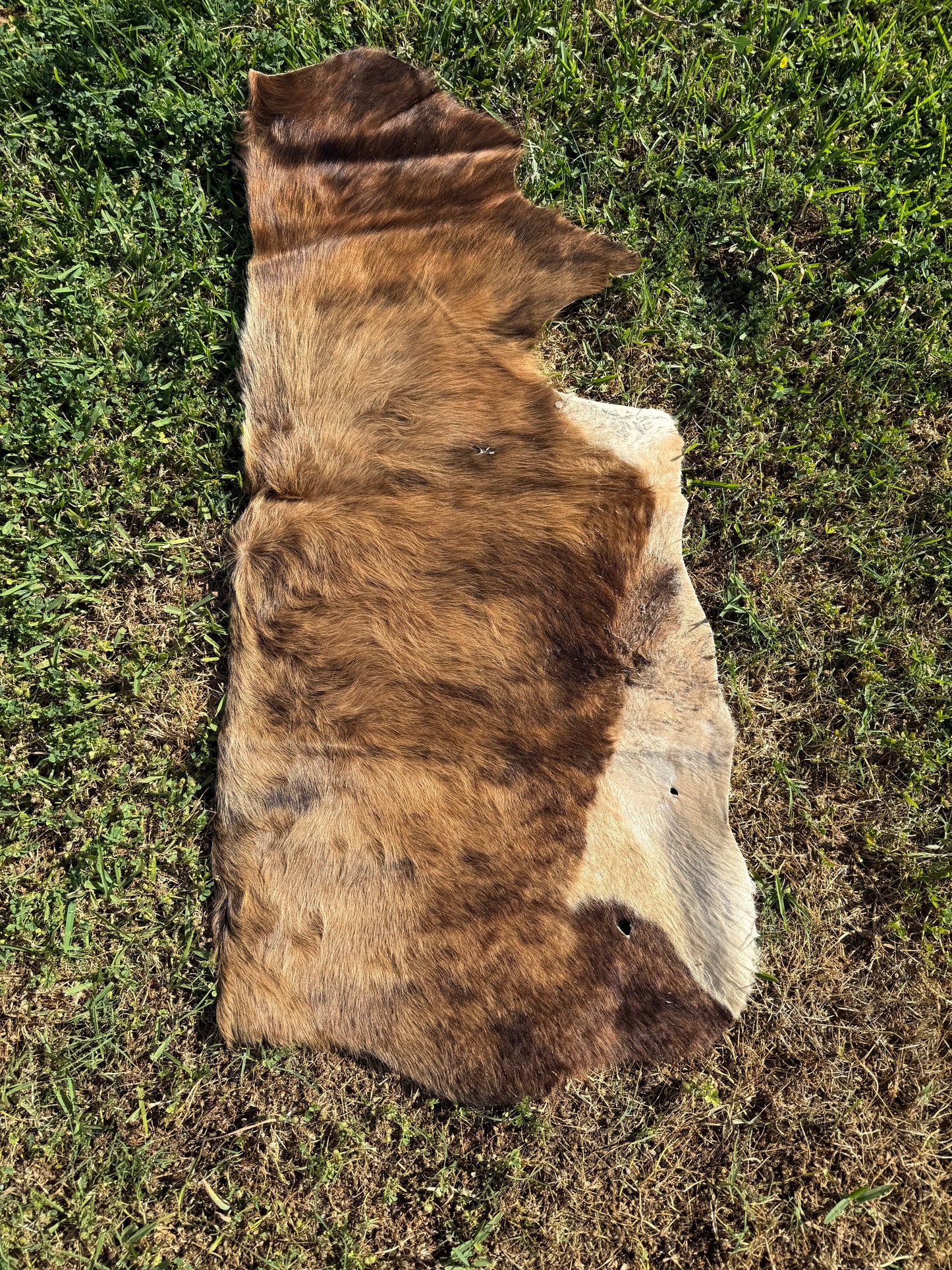 Craft hide side - 41