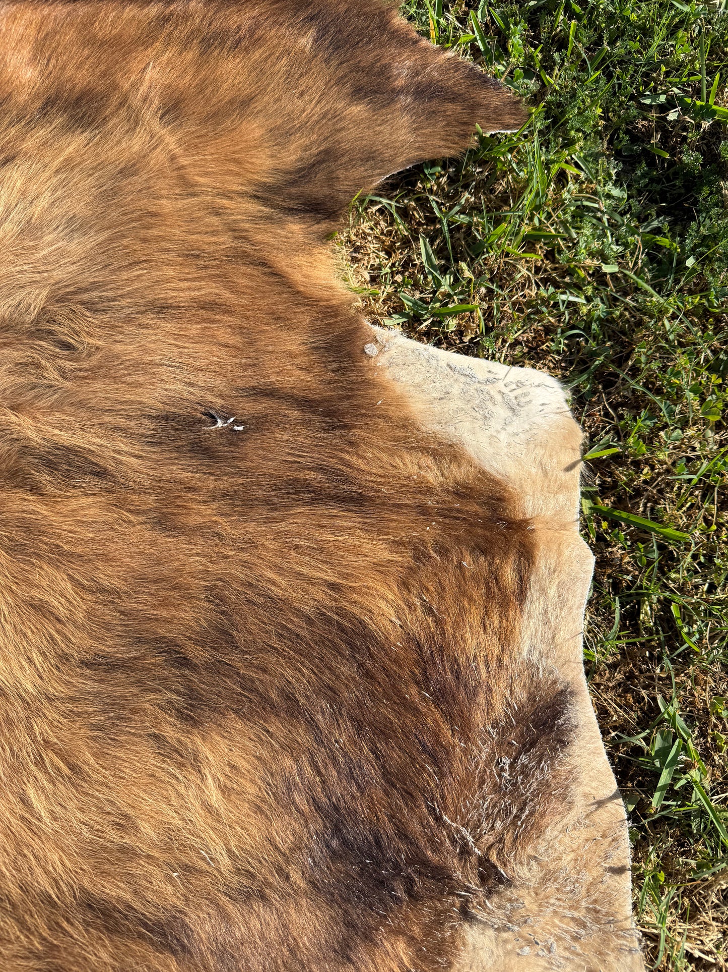 Craft hide side - 41