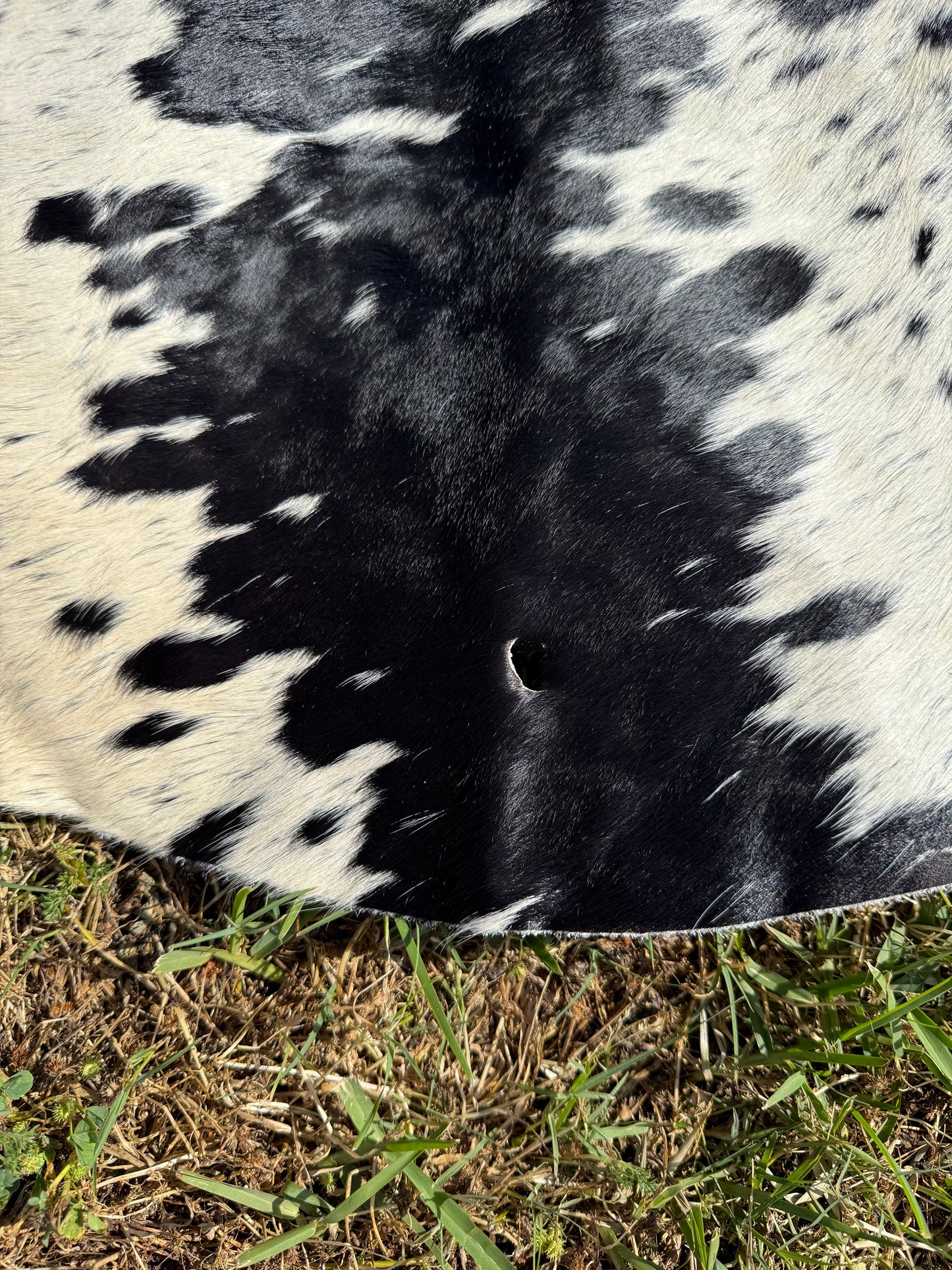 Craft hide side - 46