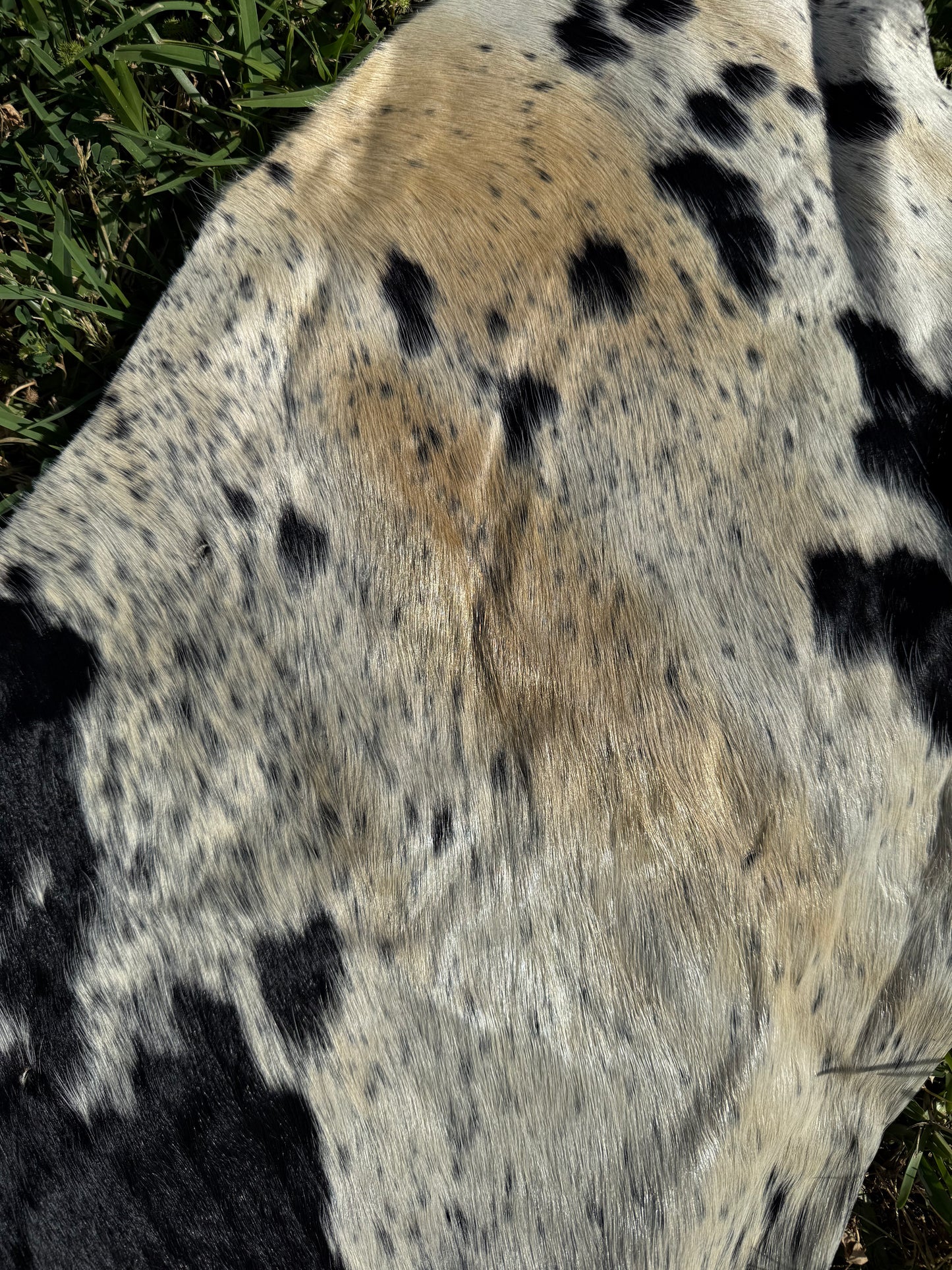 Craft hide side - 46