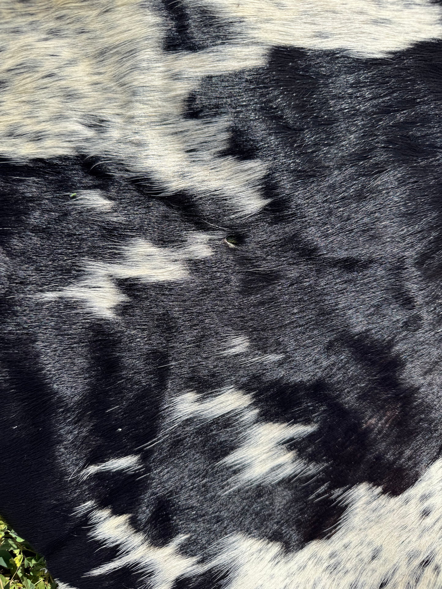 Craft hide side - 46