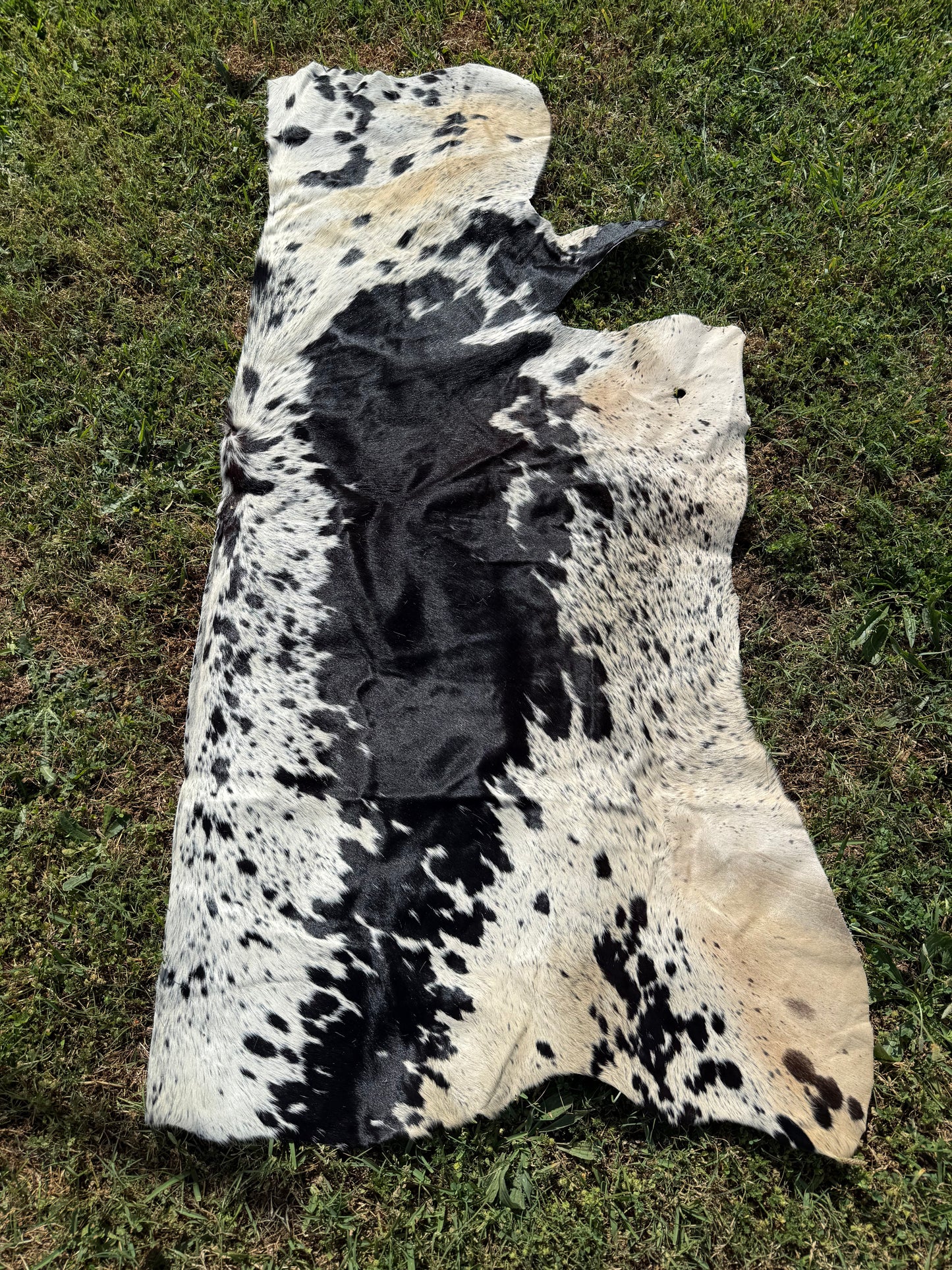 Craft hide side - 47