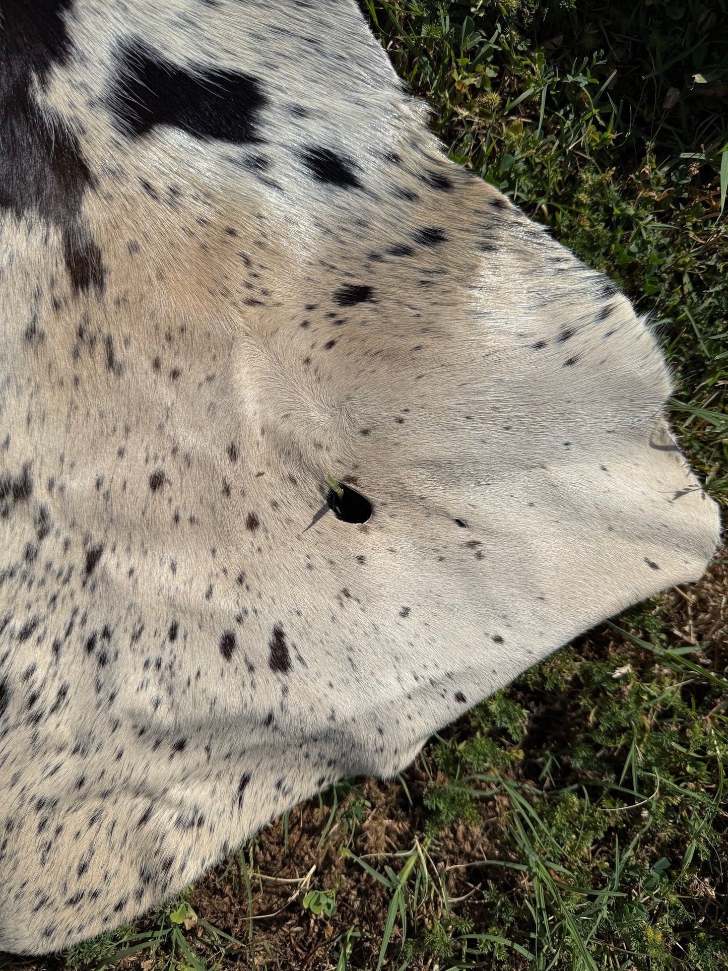 Craft hide side - 47