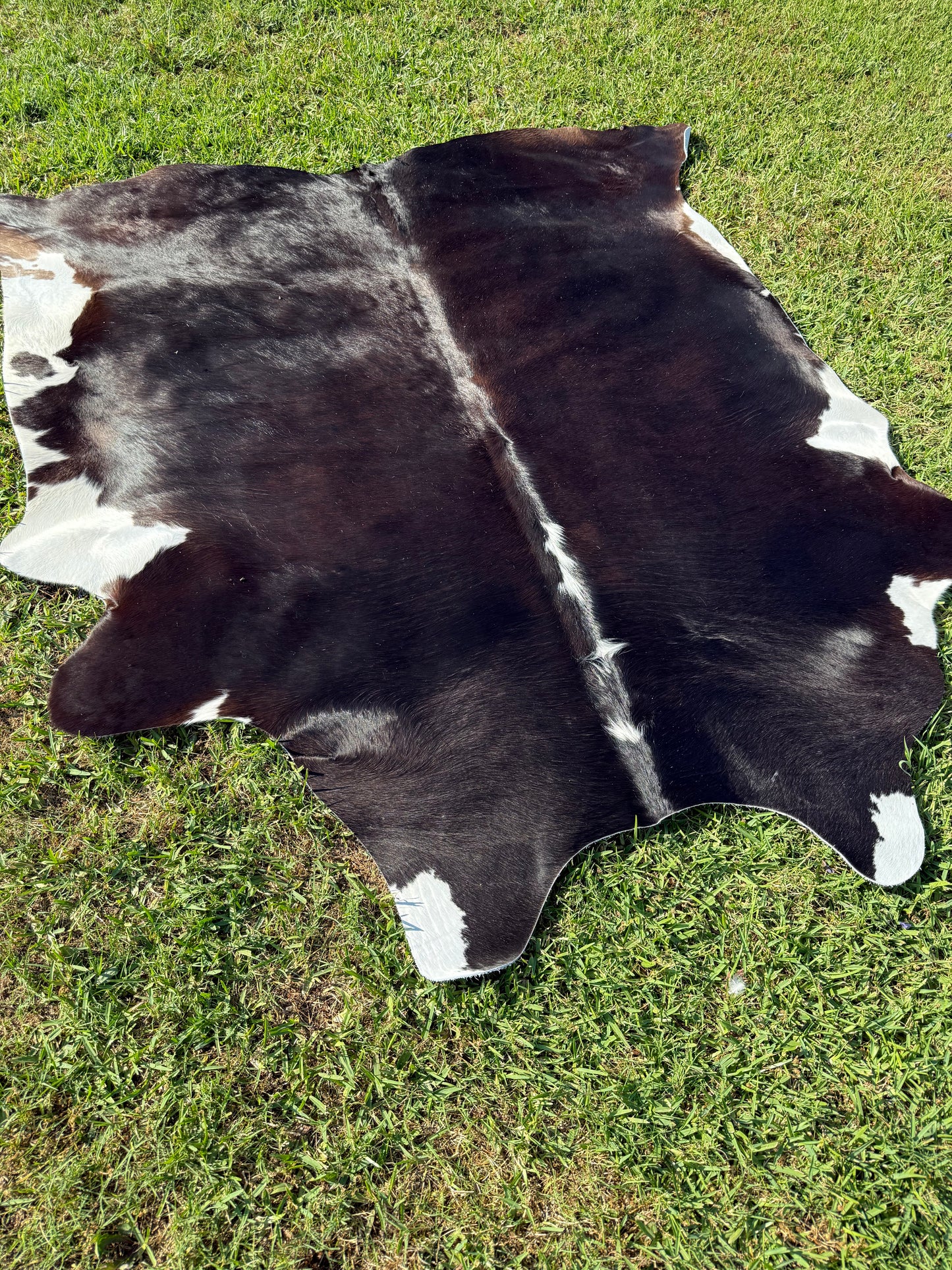 Cowhide Rug 365