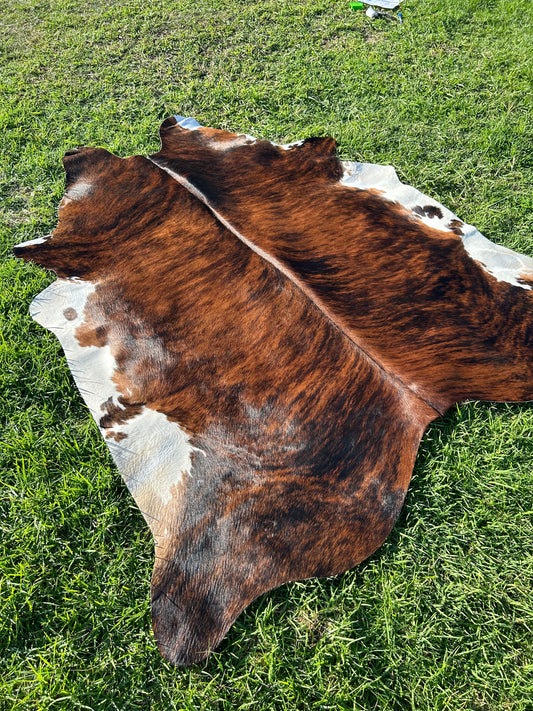 Cowhide Rug 203