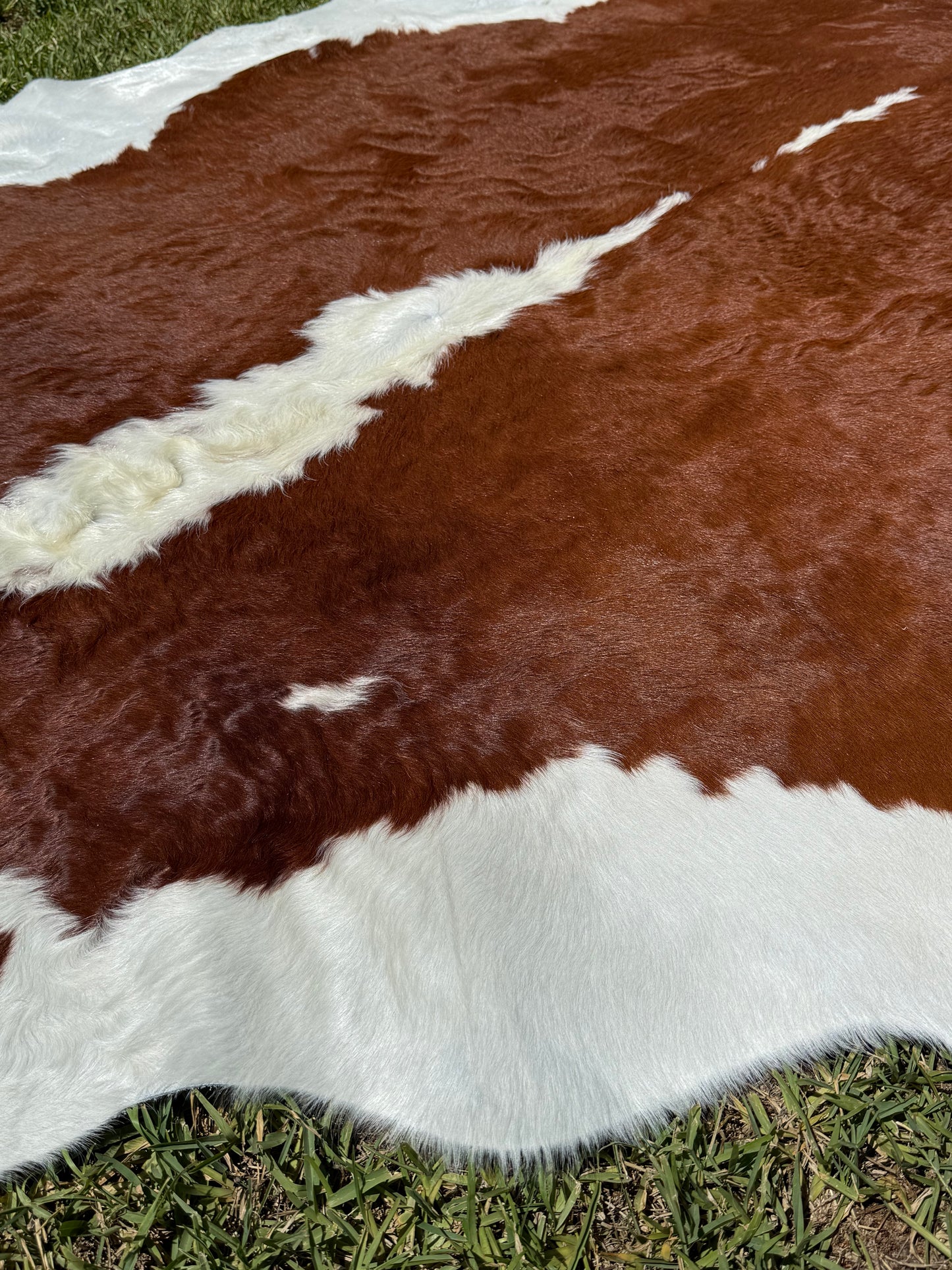 Cowhide Rug 369