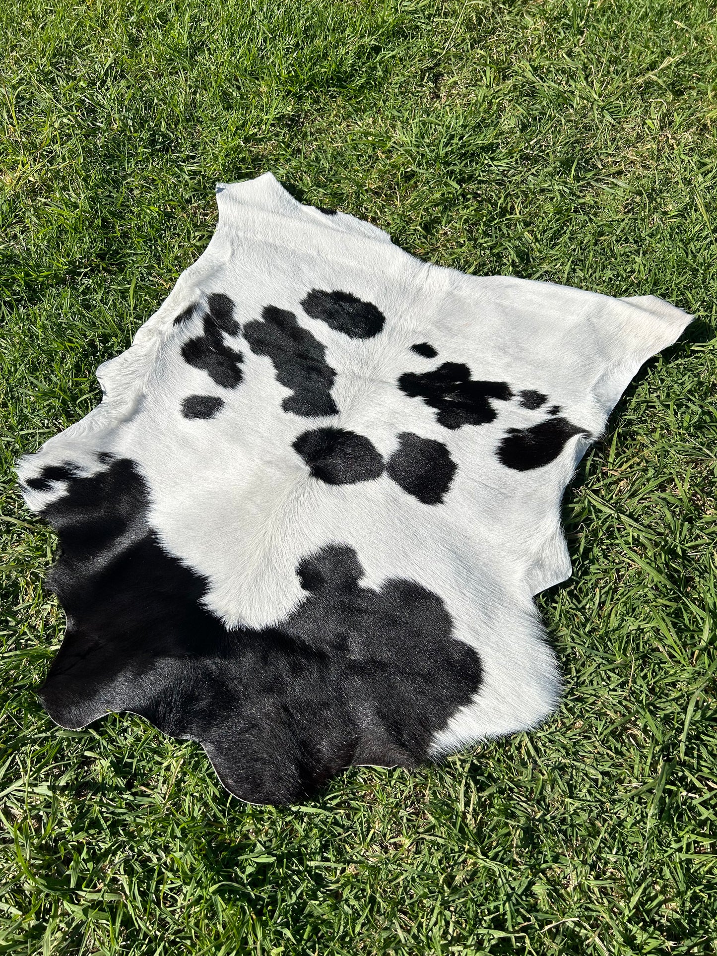 Calf Hide 25