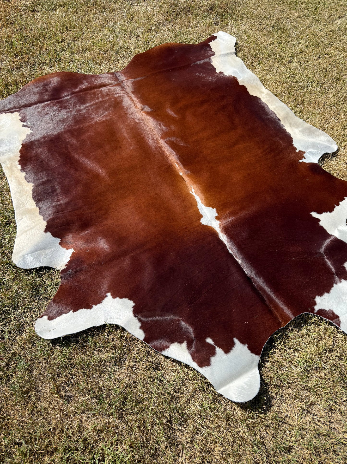 Cowhide Rug 386