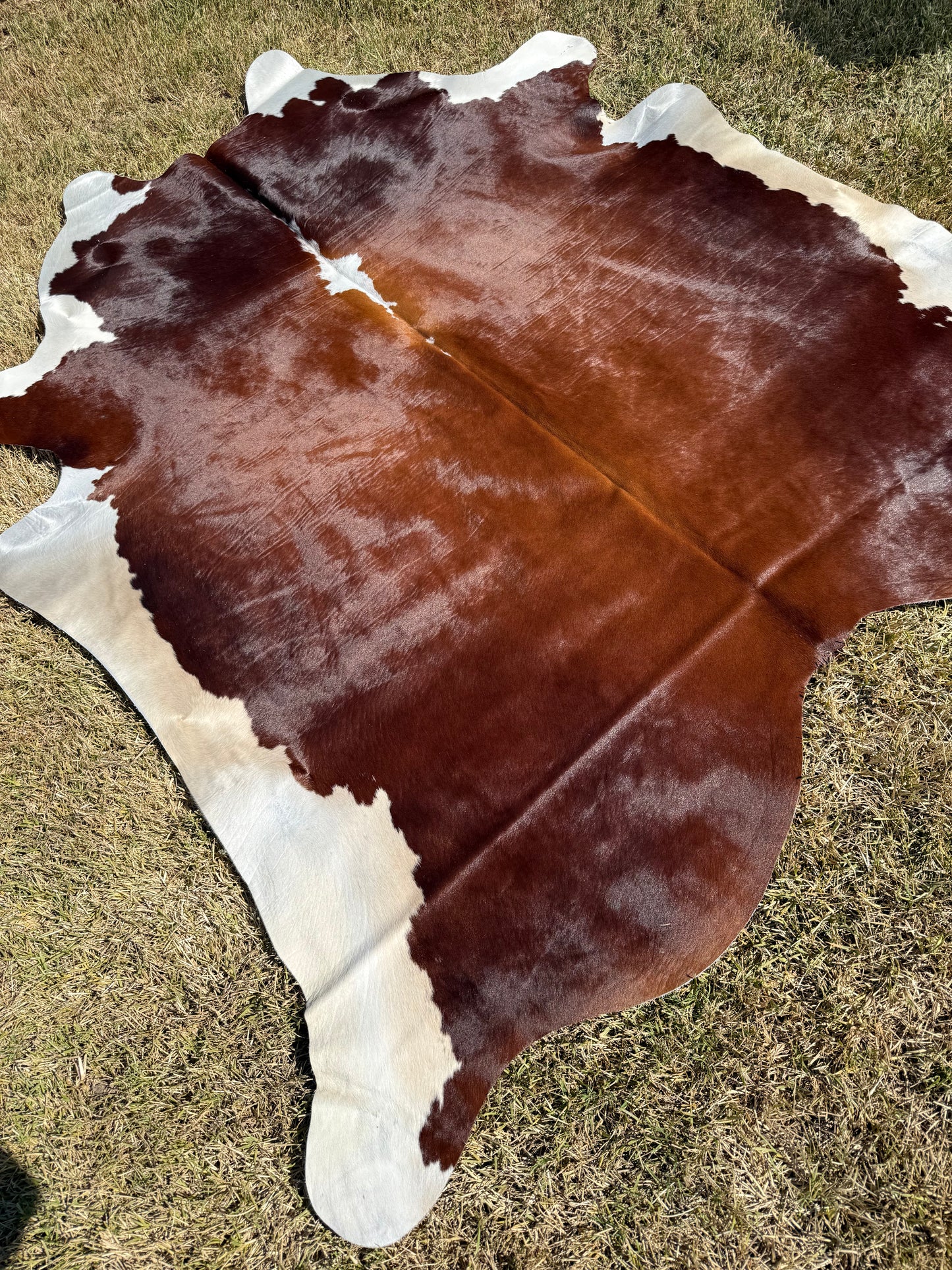Cowhide Rug 386