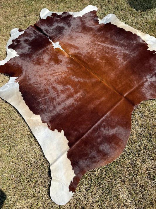 Cowhide Rug 386