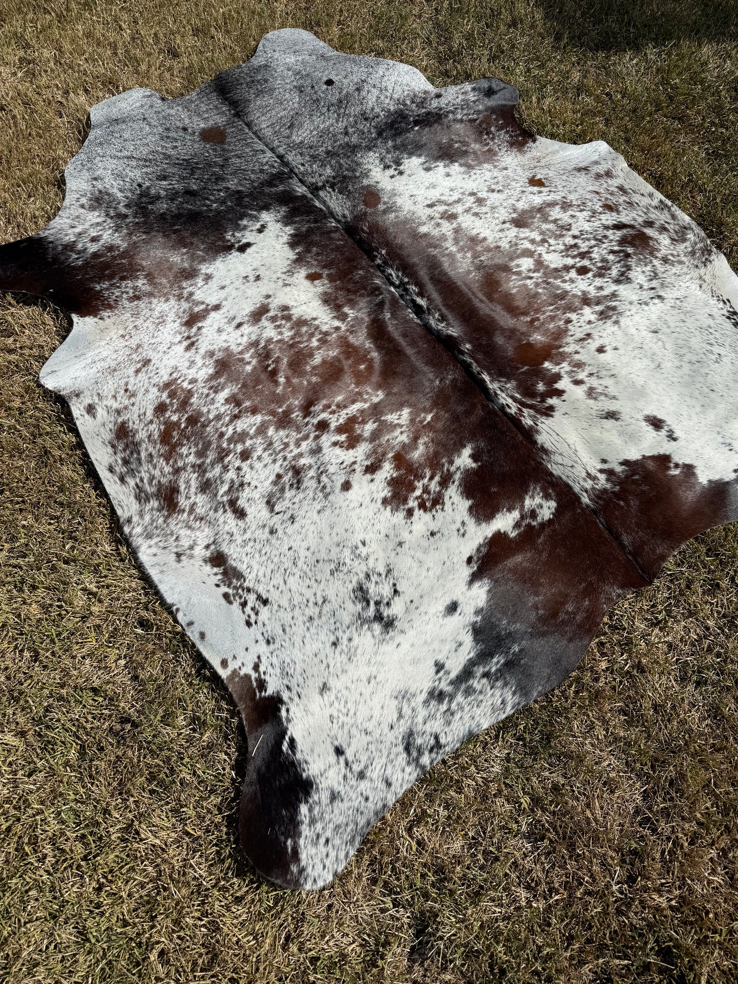 Cowhide Rug 389