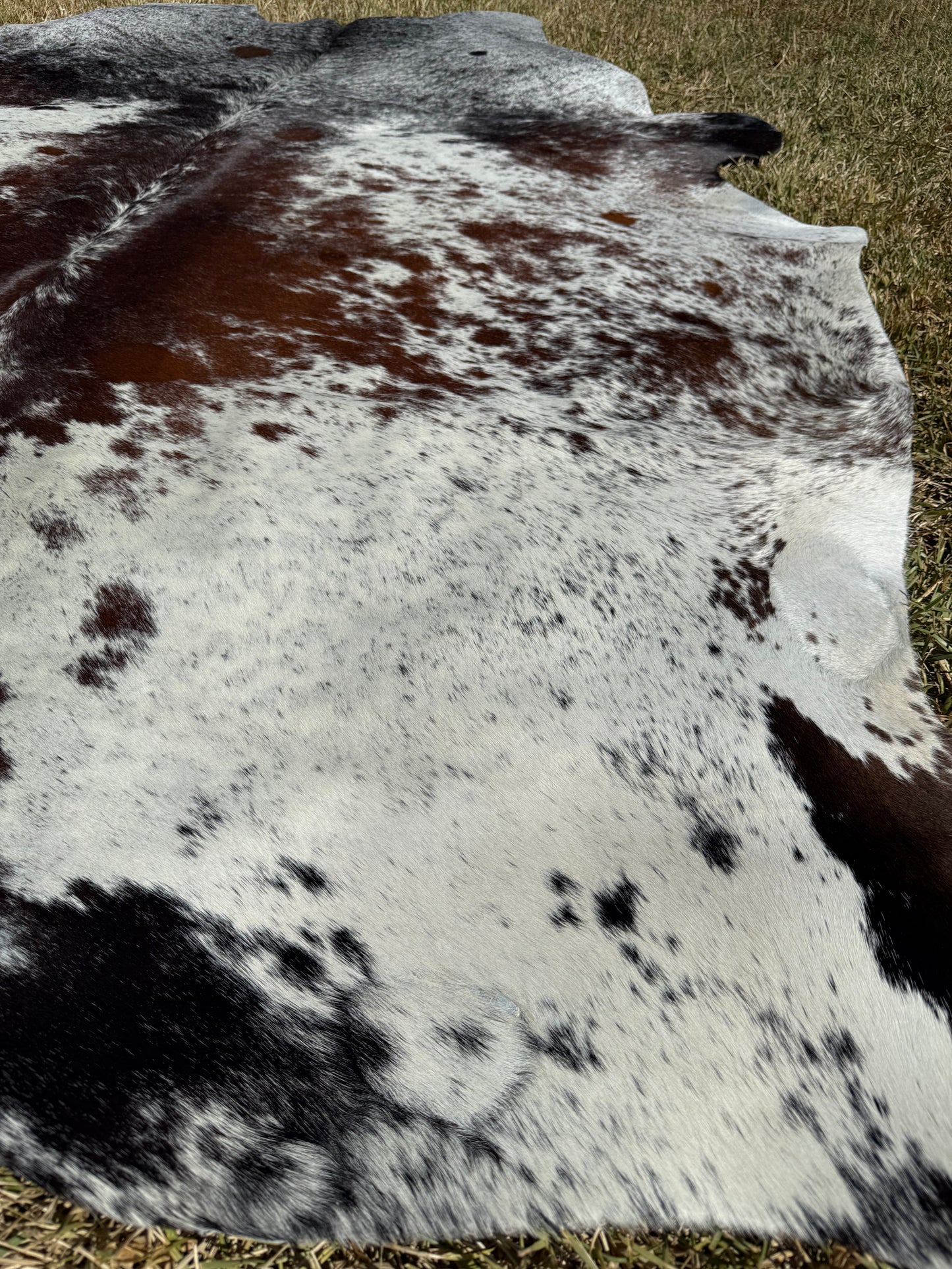 Cowhide Rug 389