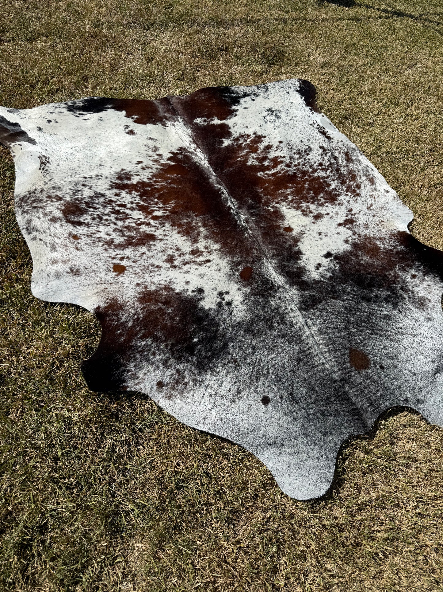 Cowhide Rug 389
