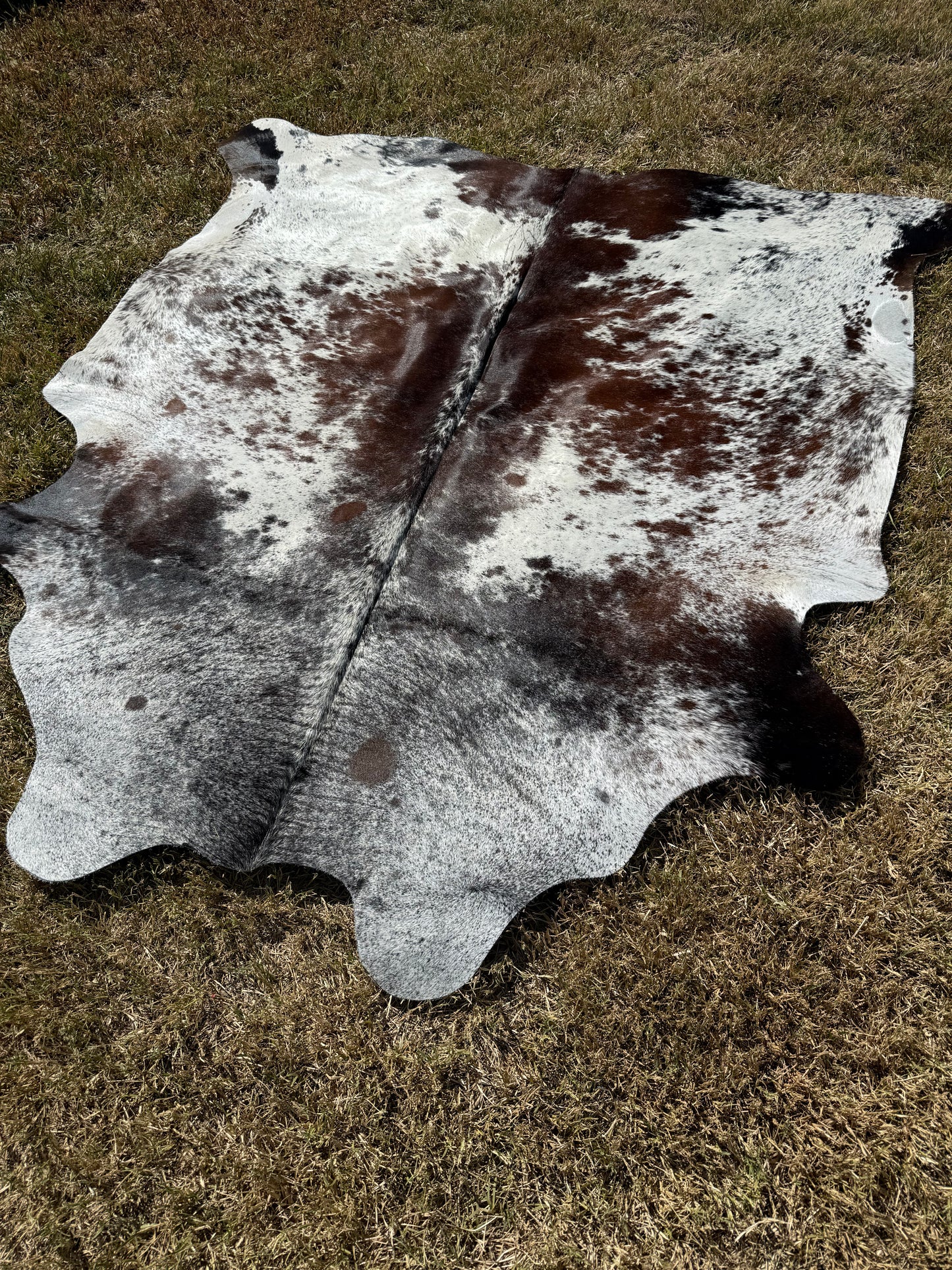 Cowhide Rug 389