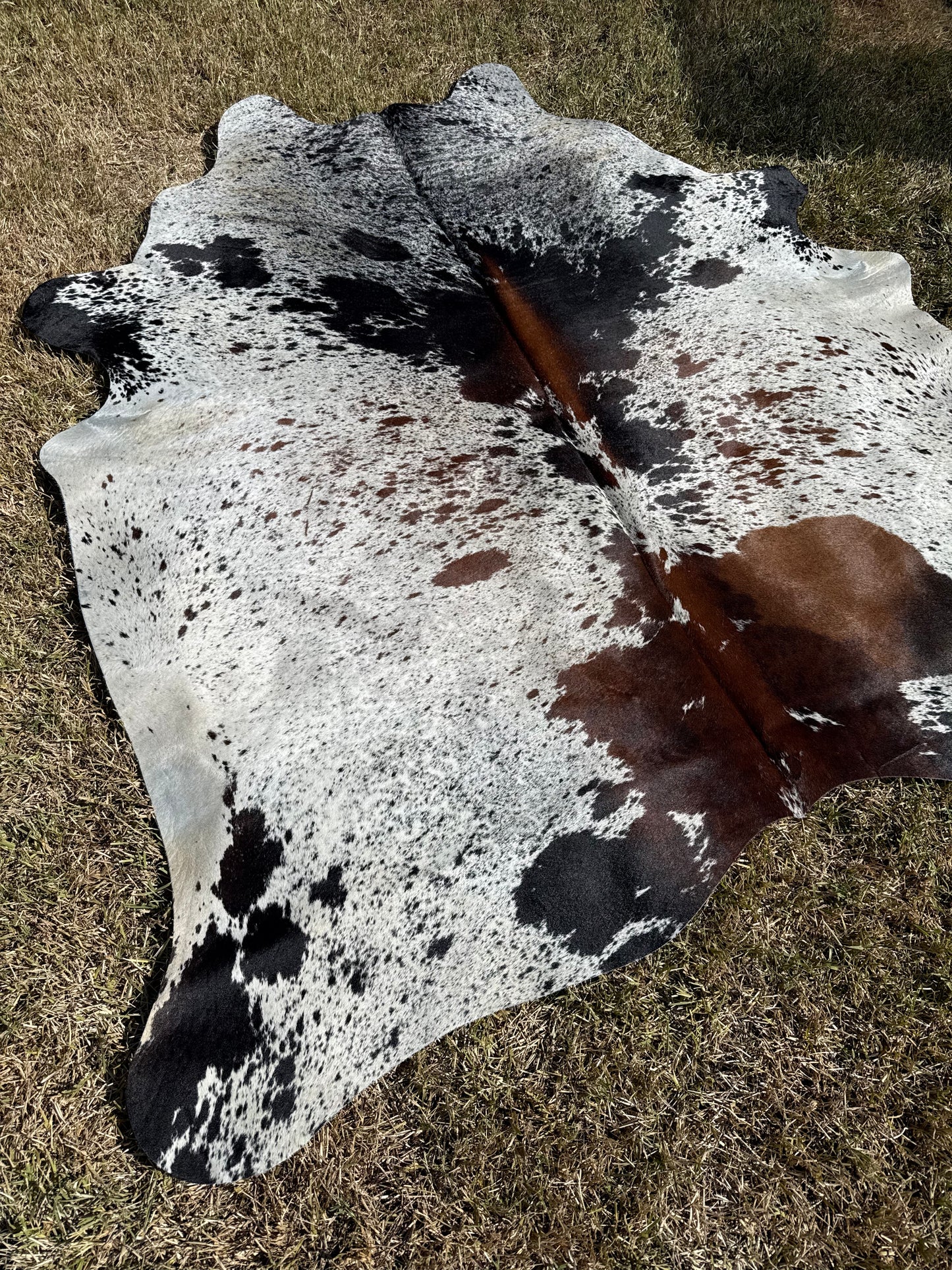 Cowhide Rug 391