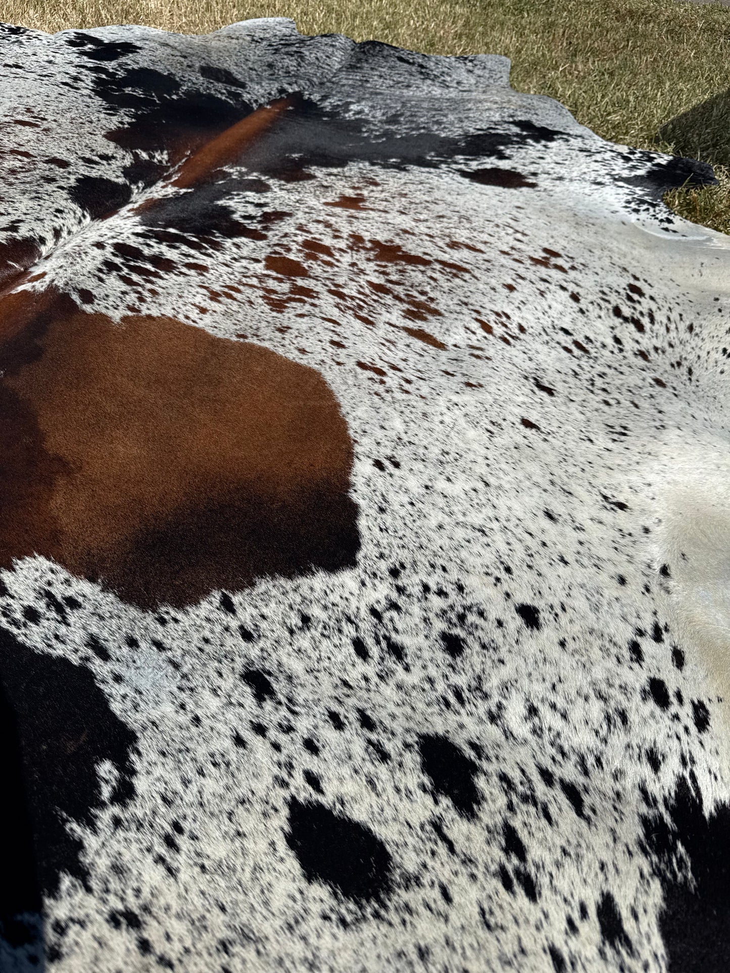 Cowhide Rug 391
