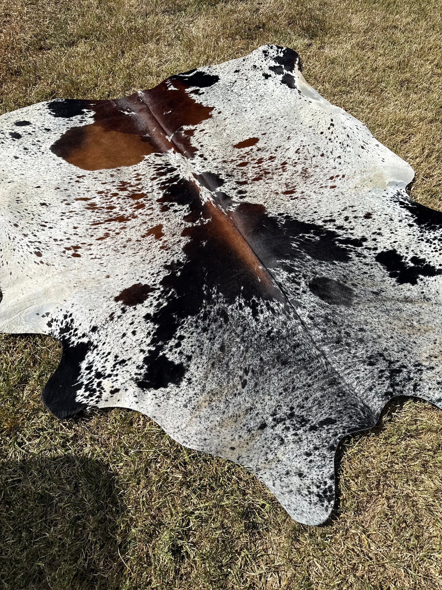 Cowhide Rug 391
