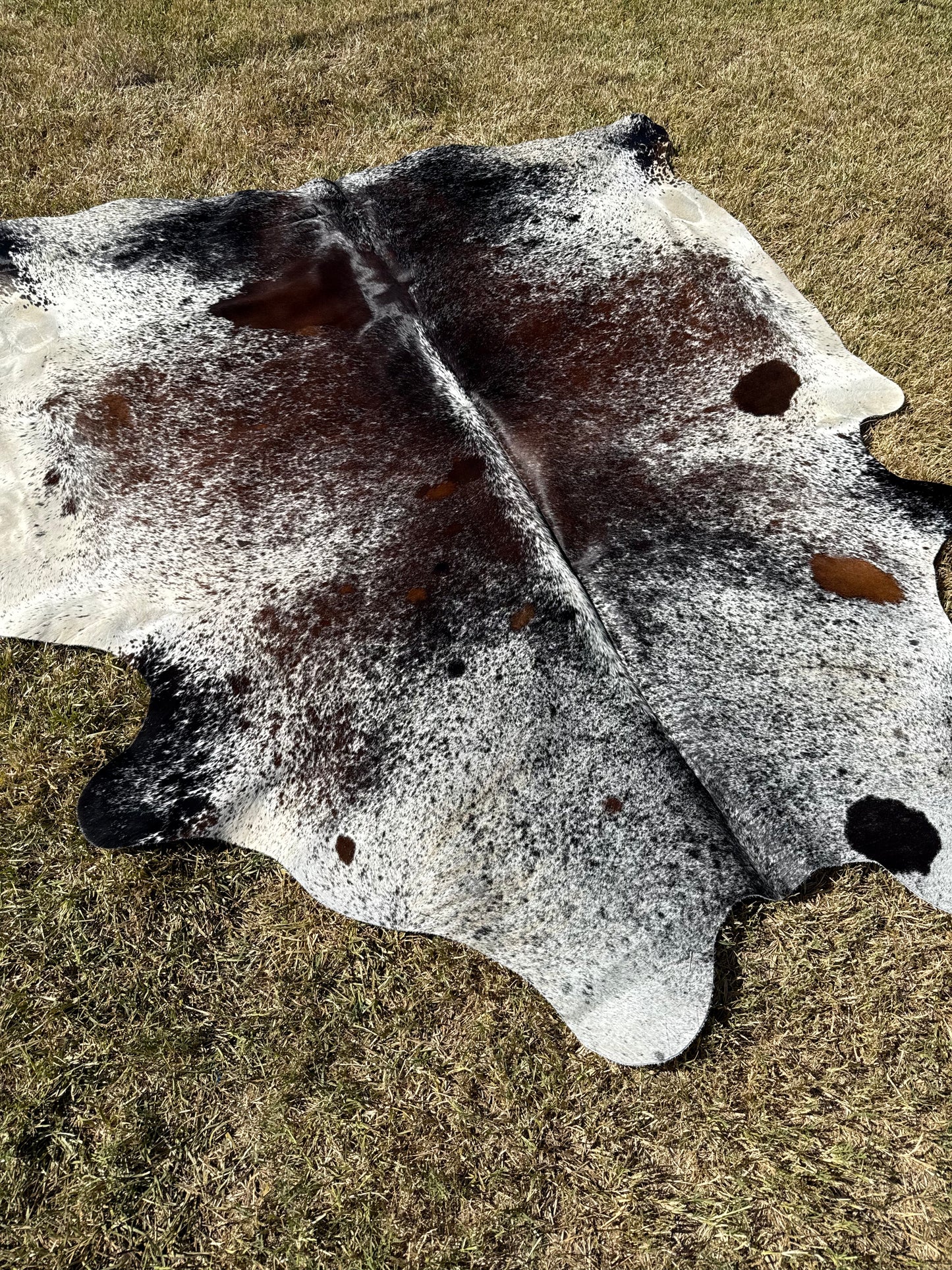Cowhide Rug 392