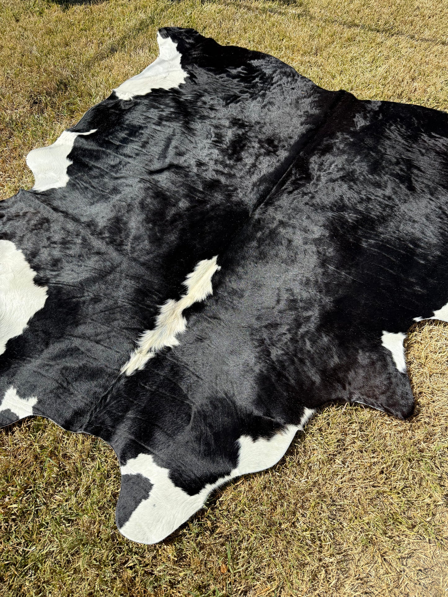 Cowhide Rug 393 - Small