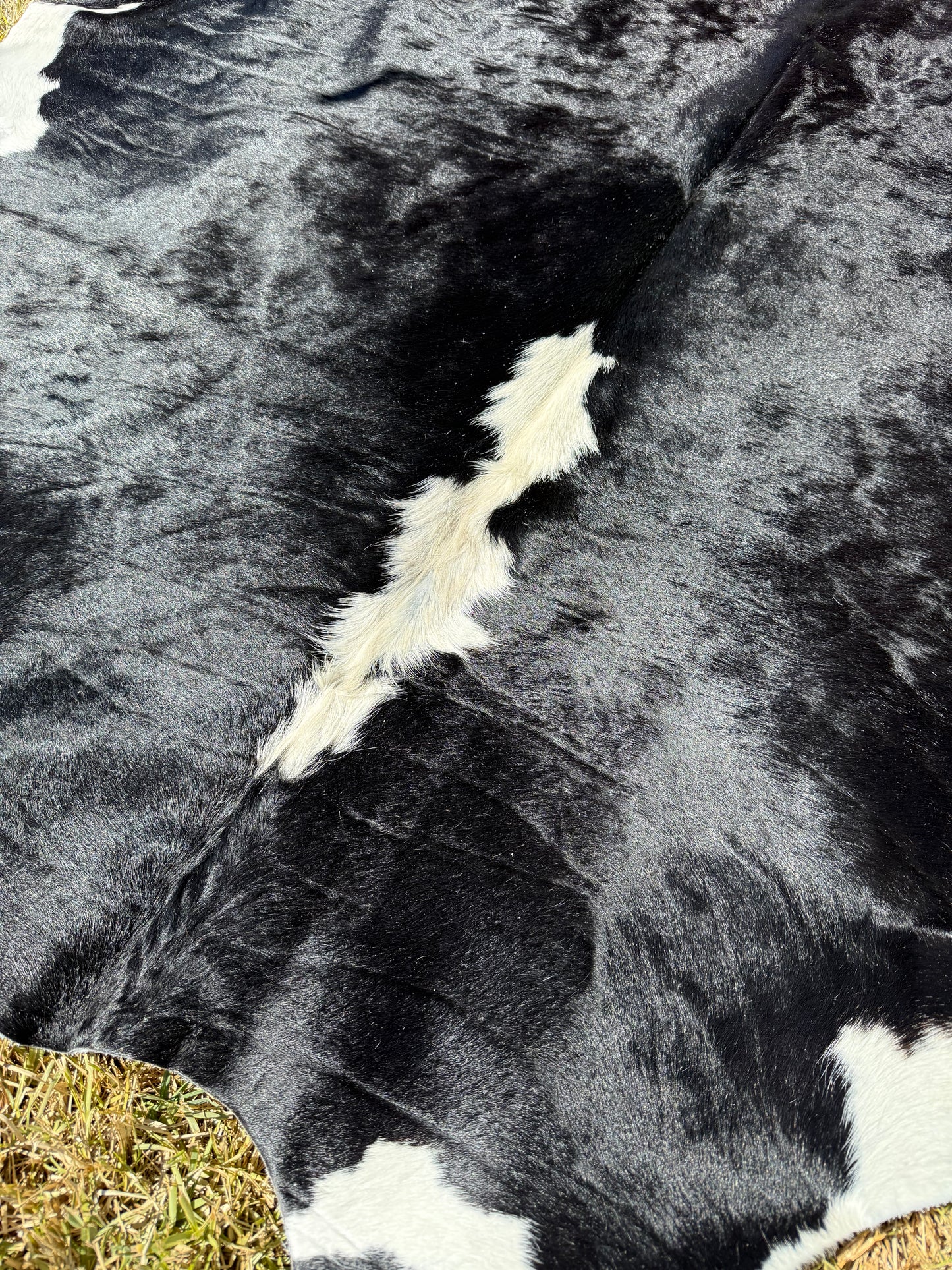 Cowhide Rug 393 - Small