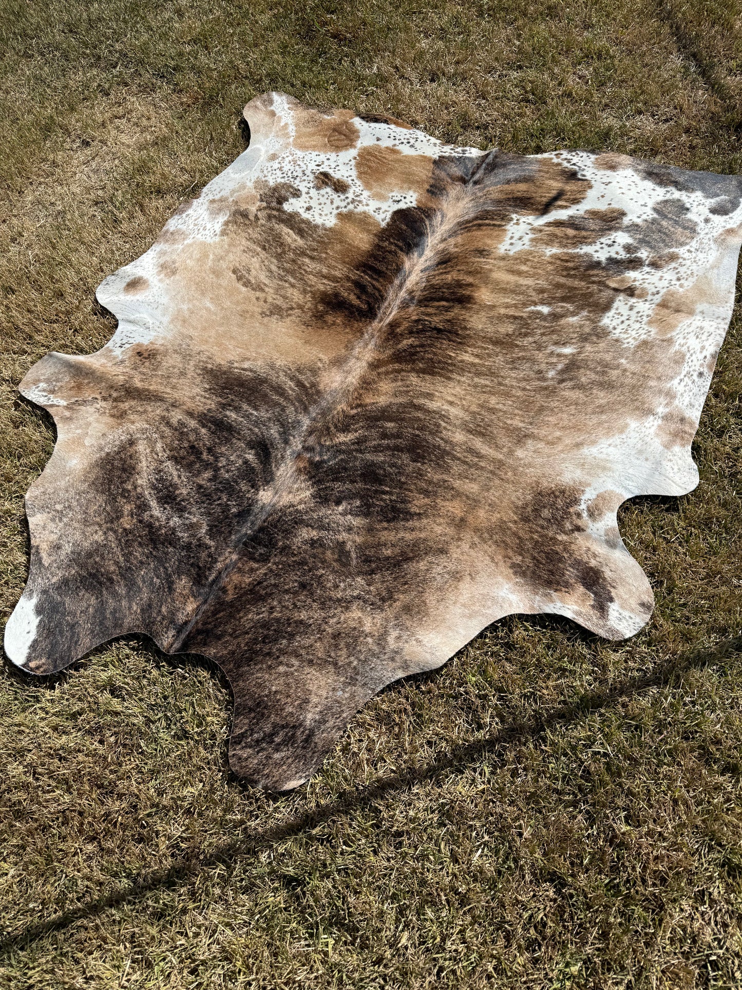 Cowhide Rug 394