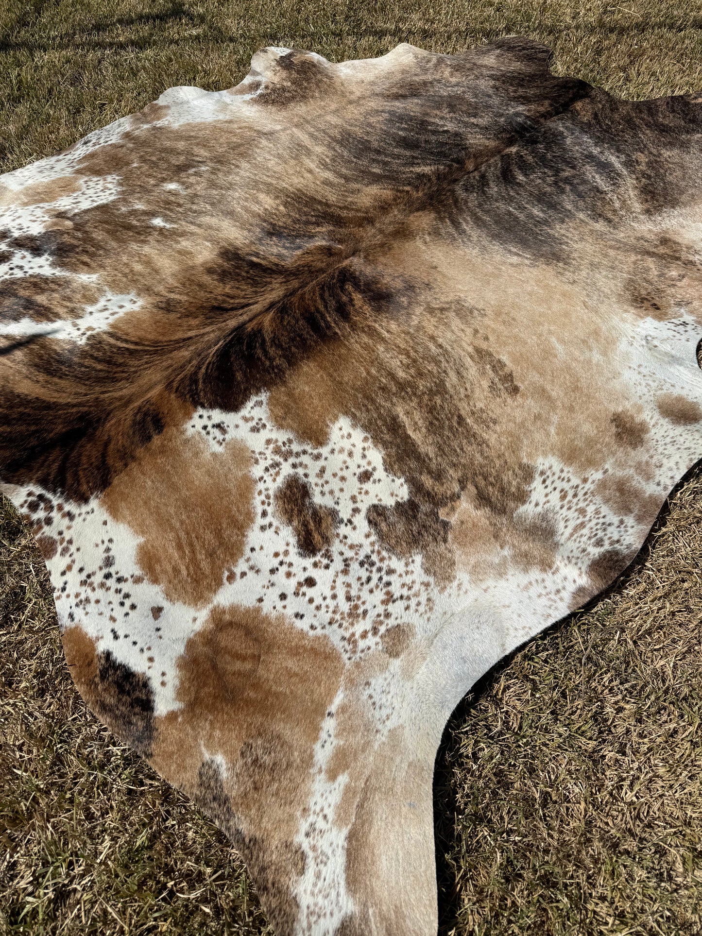Cowhide Rug 394