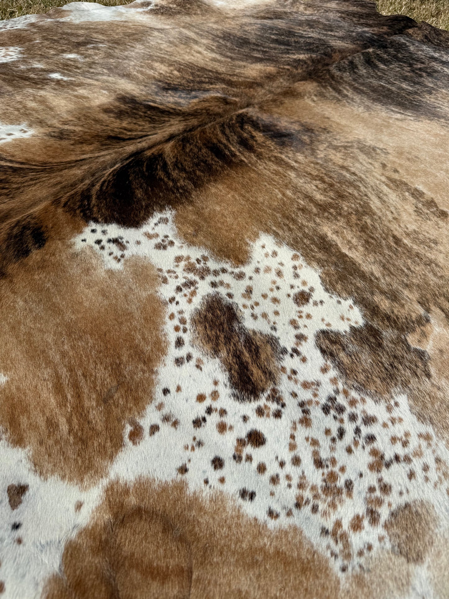 Cowhide Rug 394