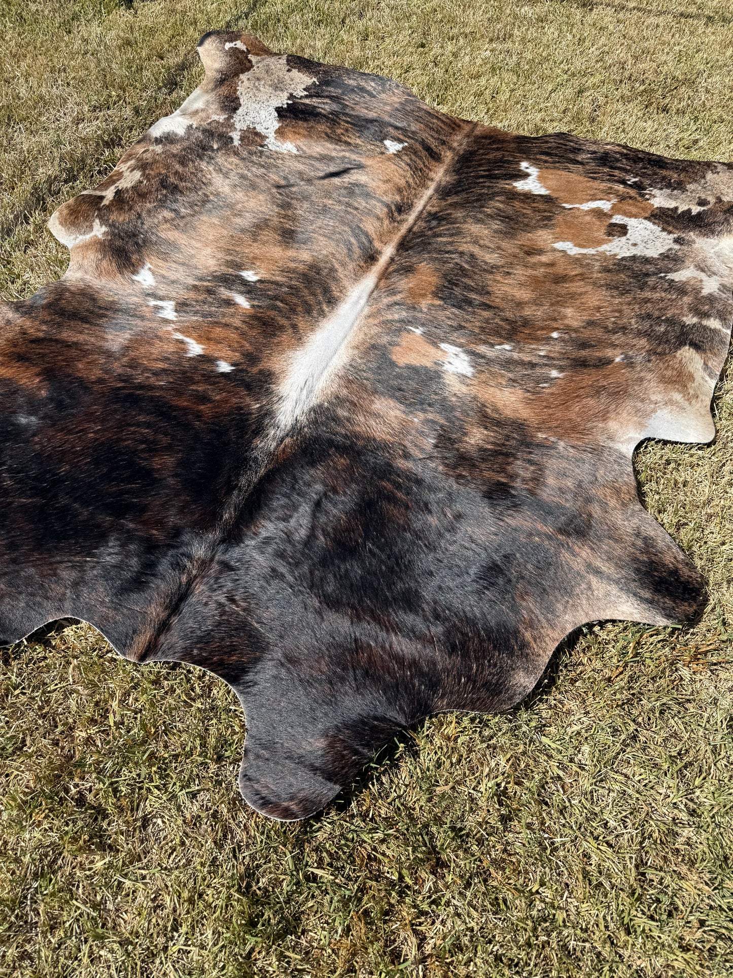 Cowhide Rug 395