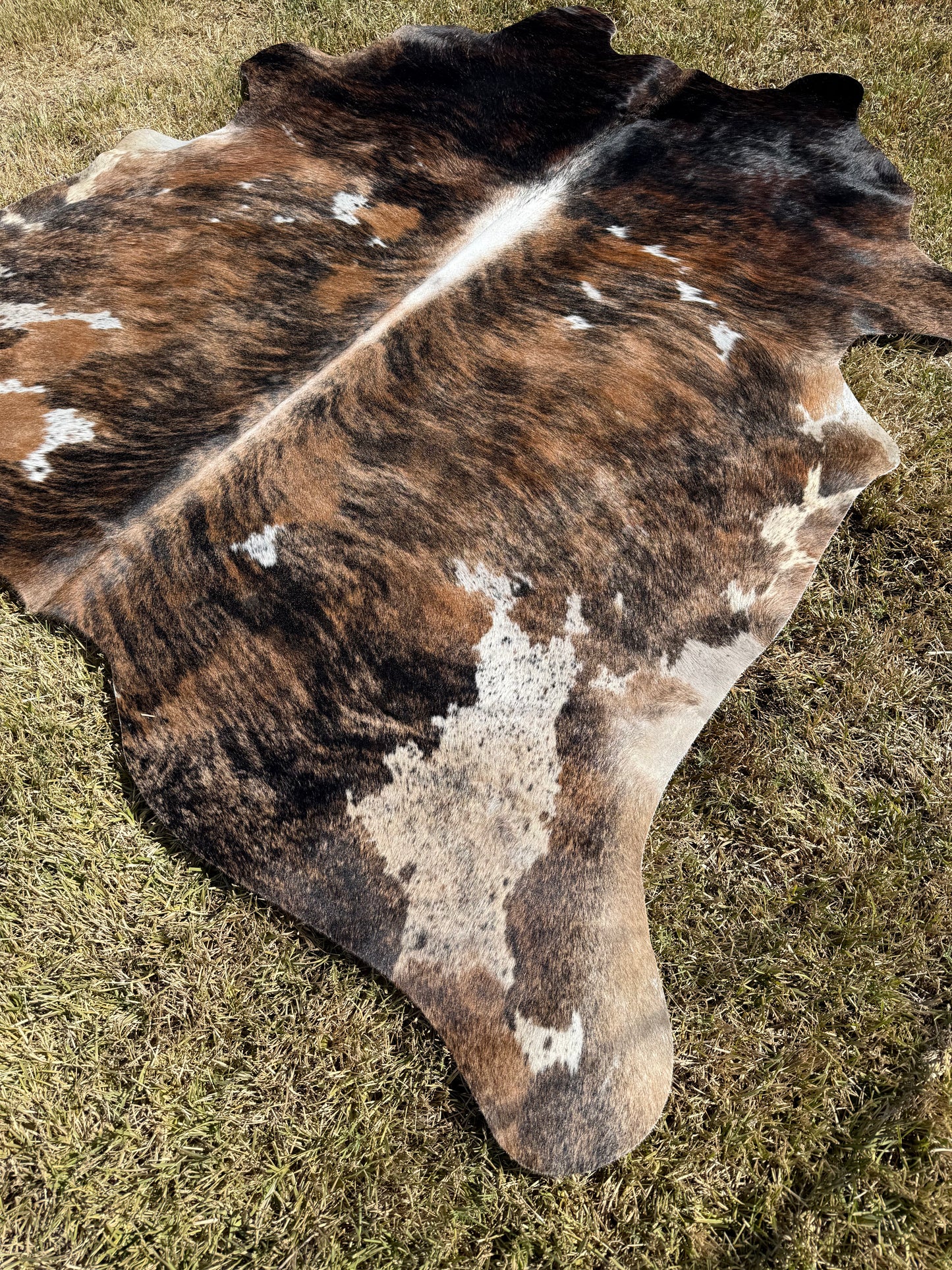 Cowhide Rug 395