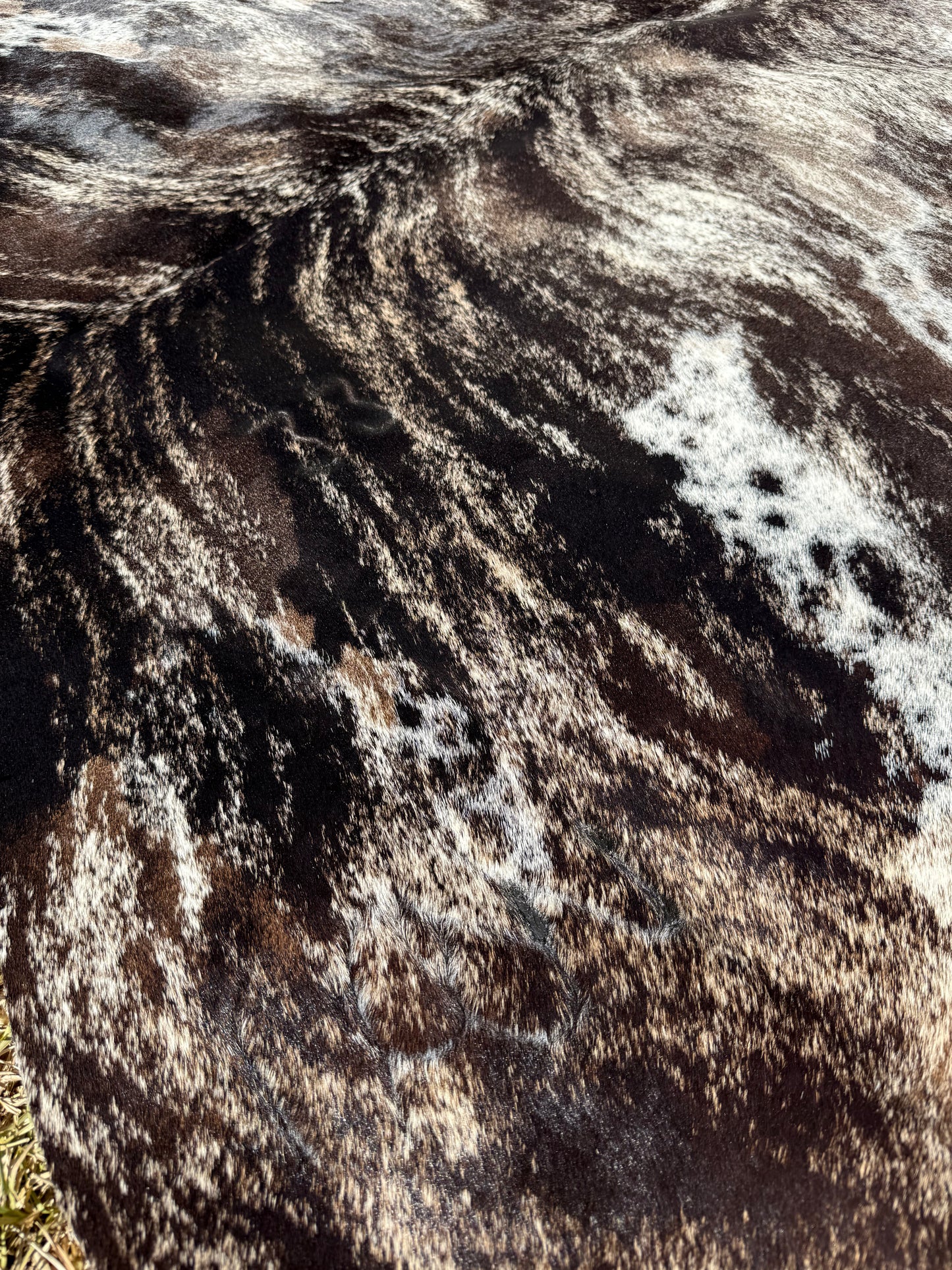 Cowhide Rug 396