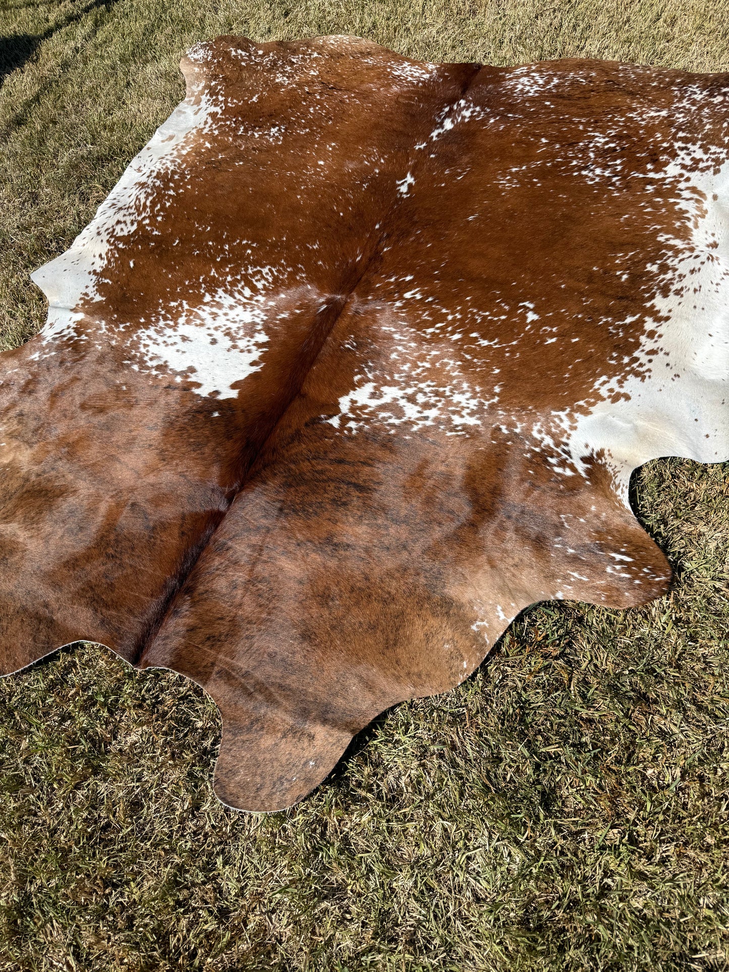 Cowhide Rug 397