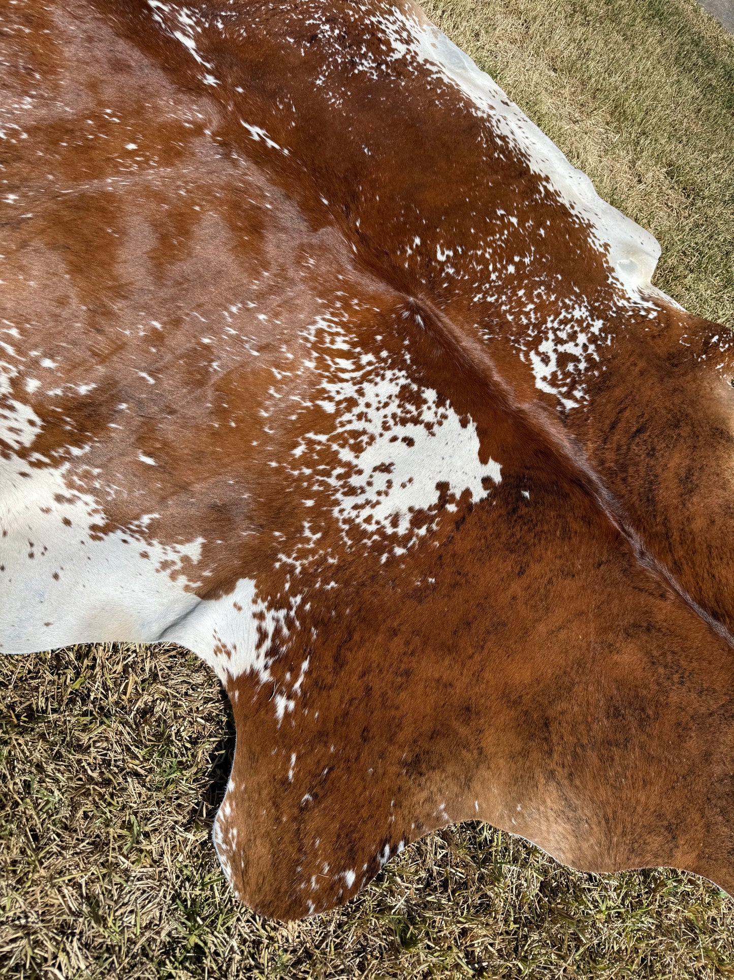 Cowhide Rug 397