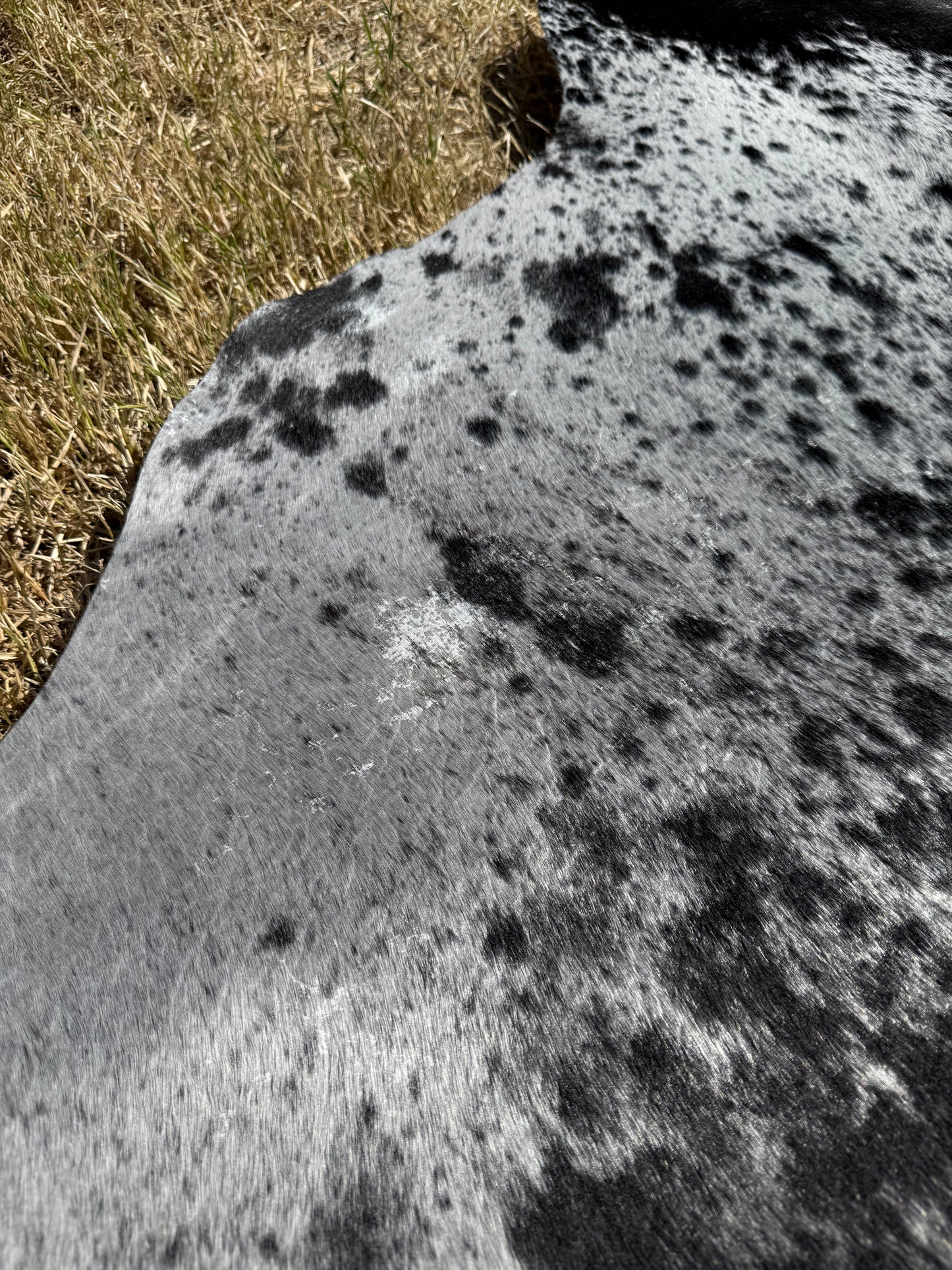 2nd Rug