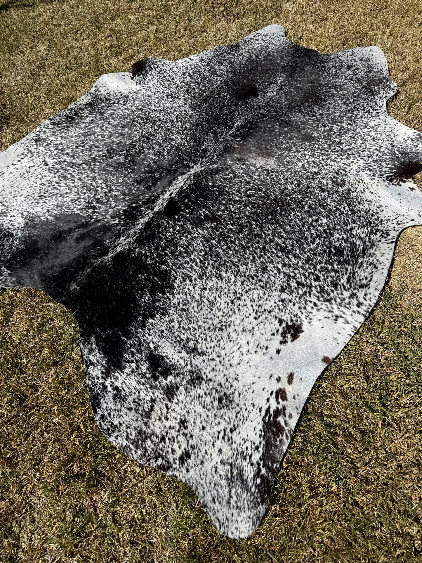 Cowhide Rug 399