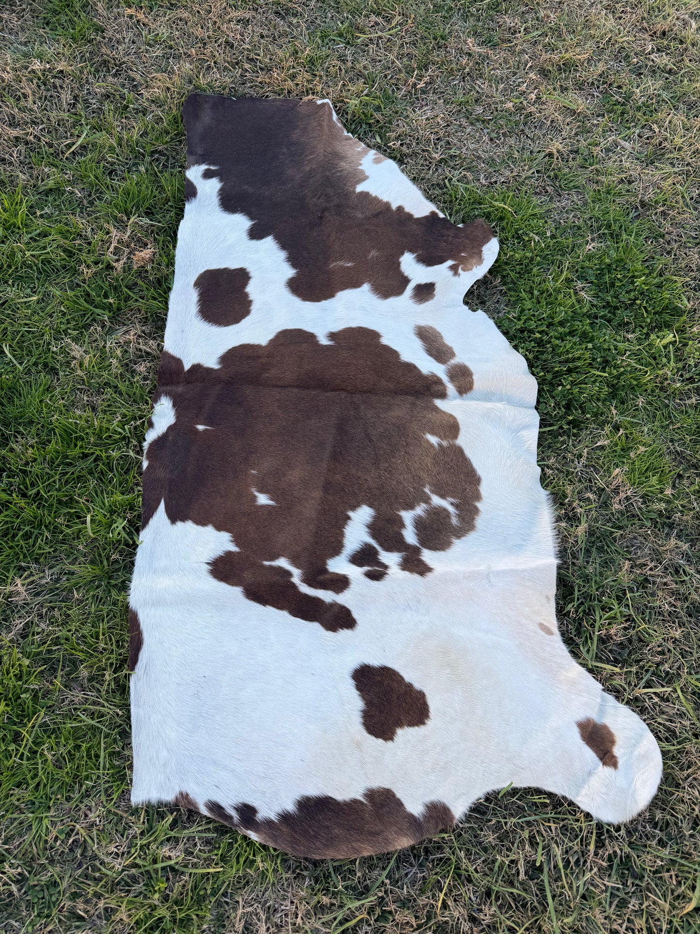 Craft hide side - 190