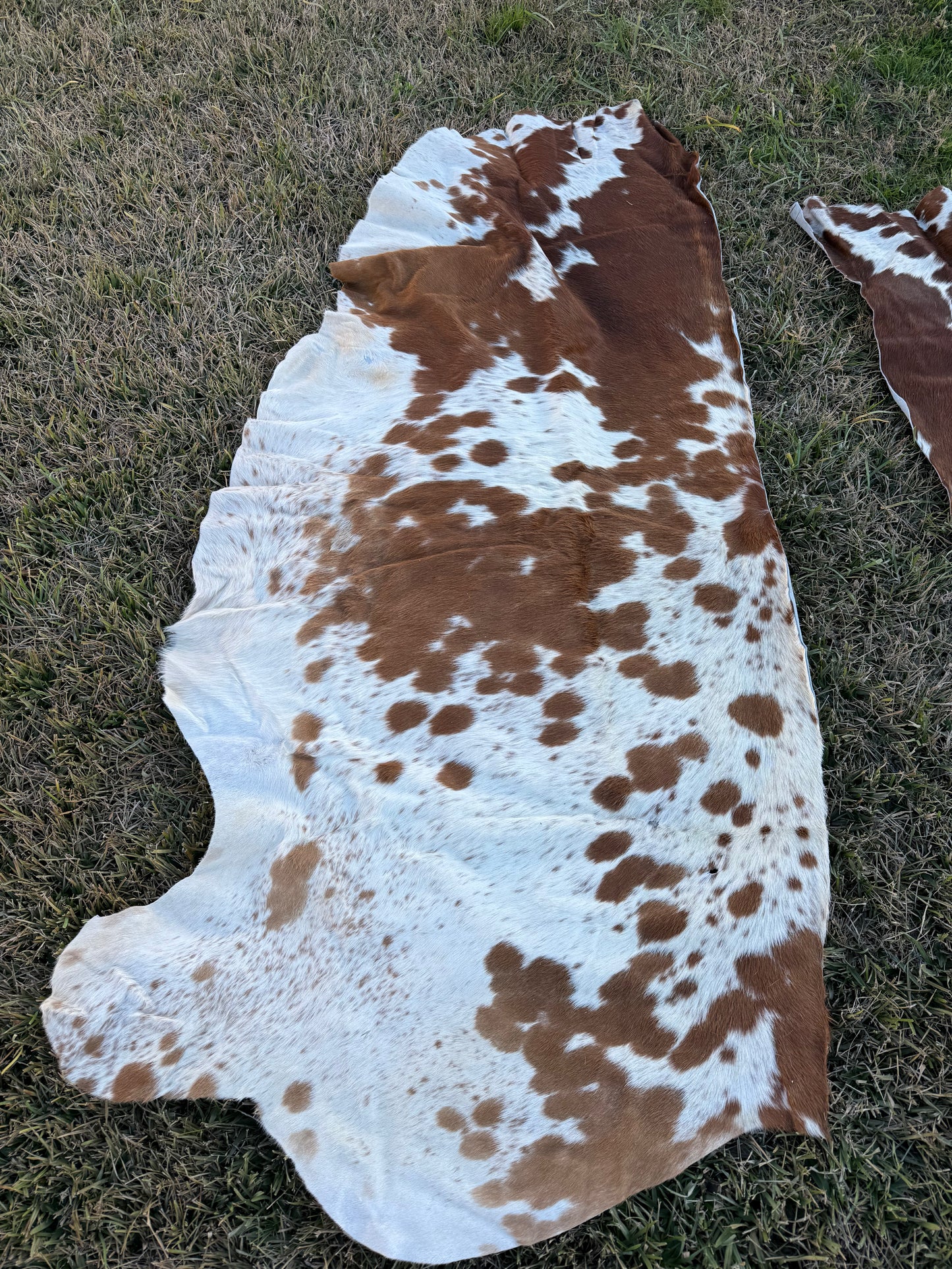 Craft hide side - 193