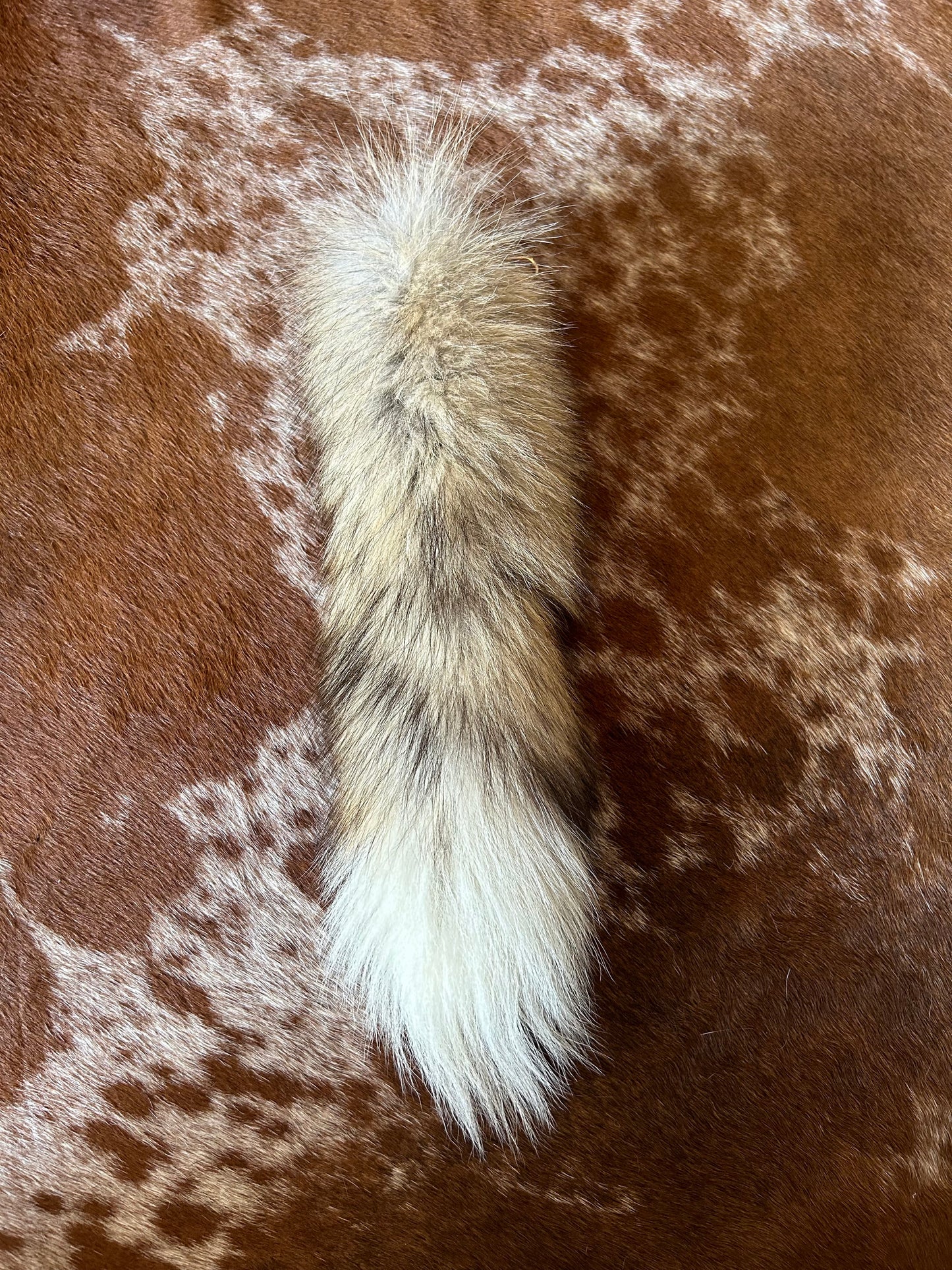 Foxtail keychains