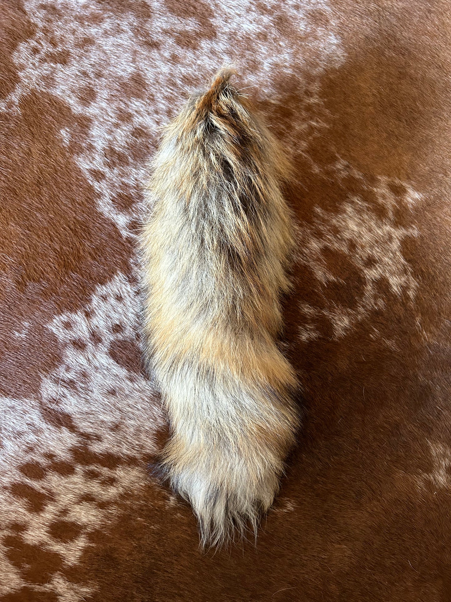 Foxtail keychains