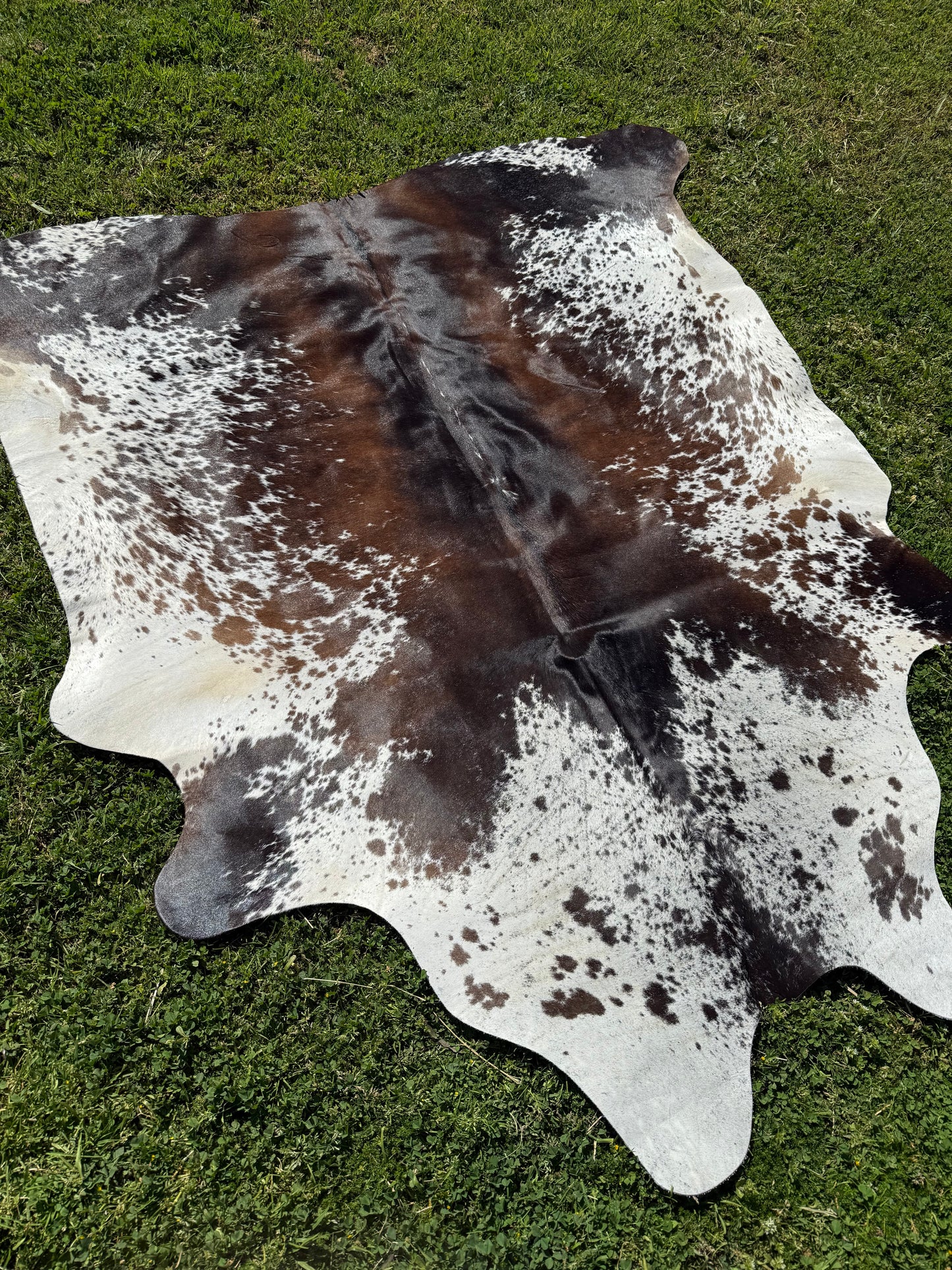 Cowhide Rug 333