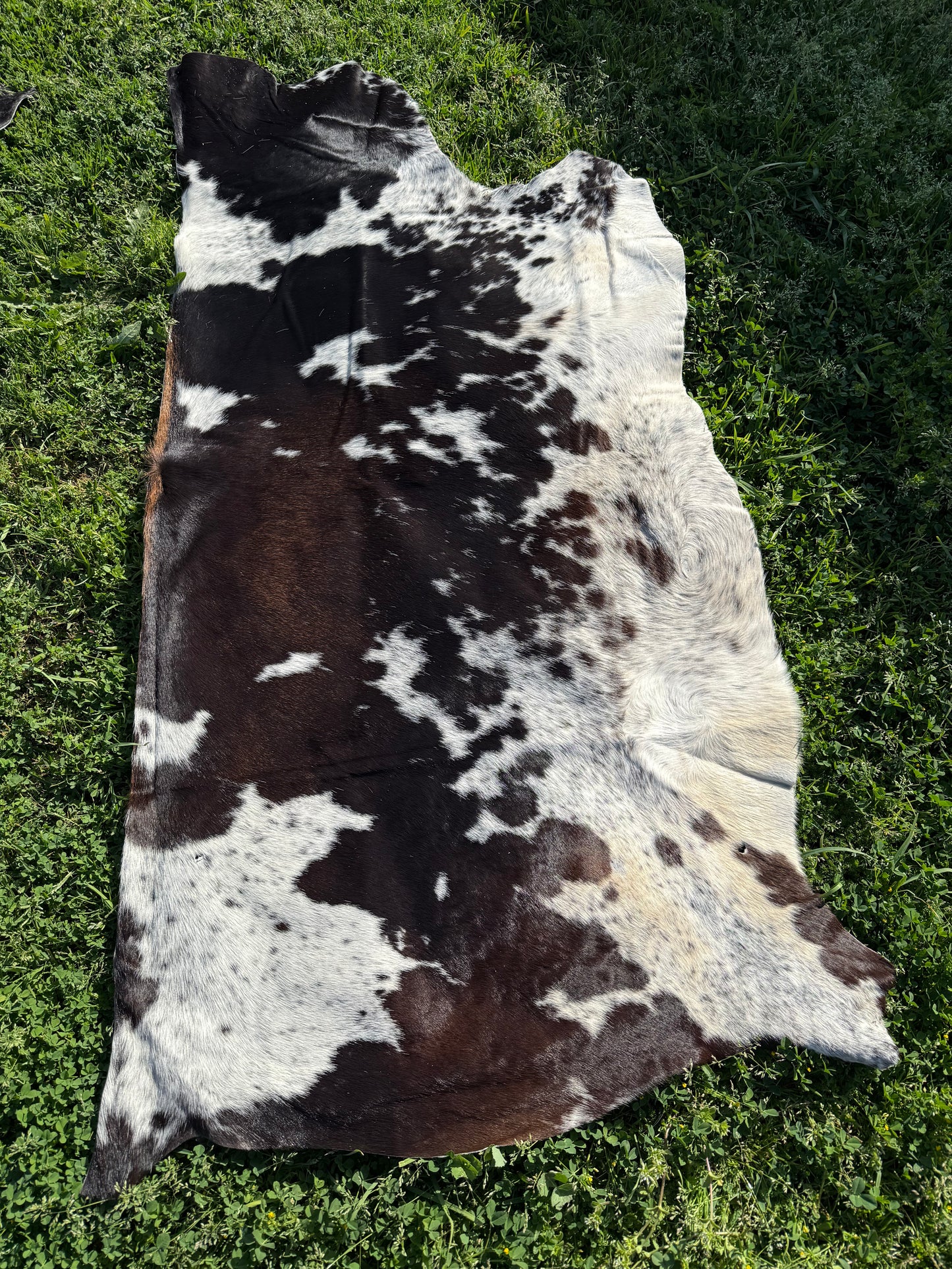 Craft hide side - 30