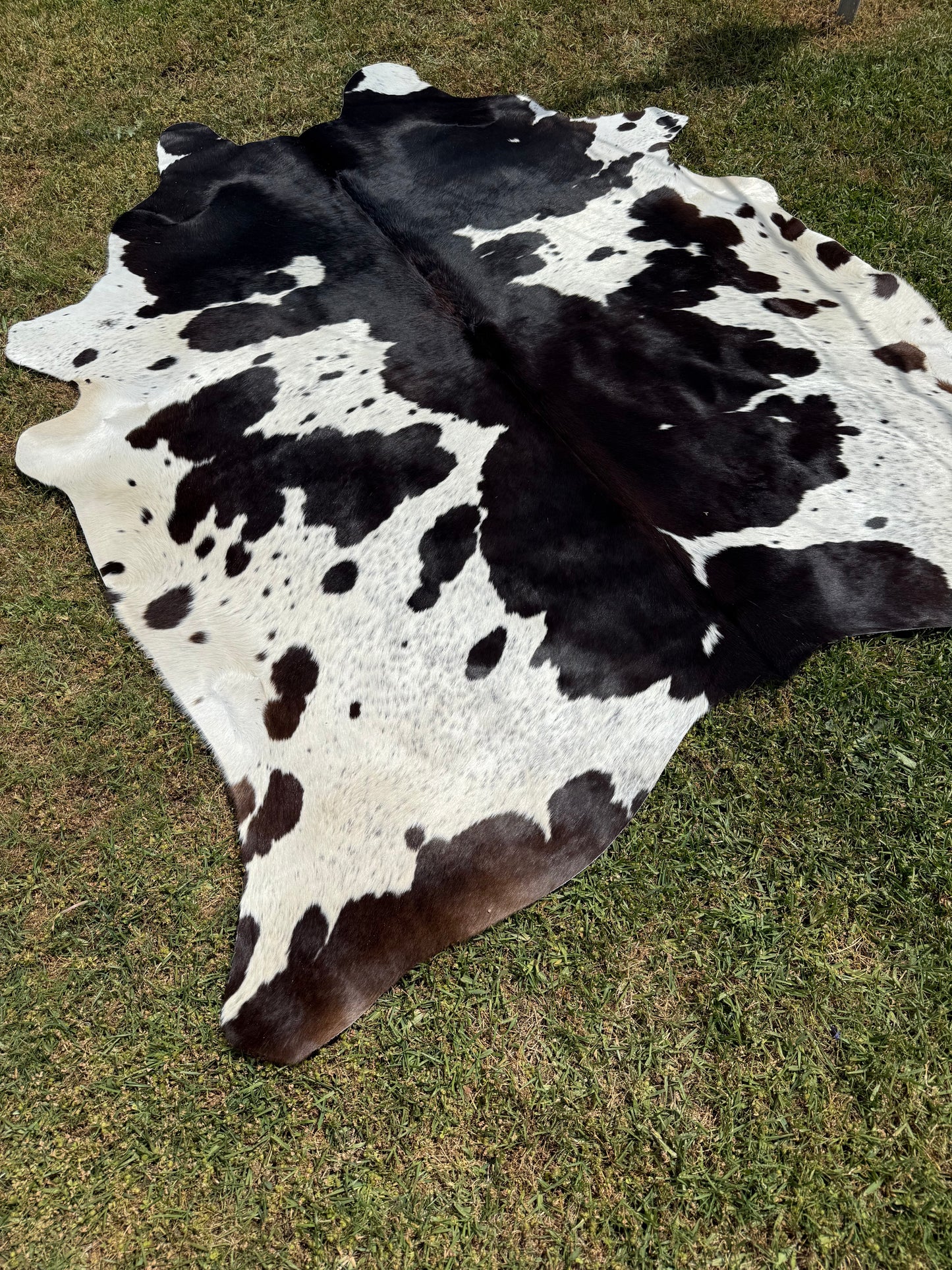 Cowhide Rug 346