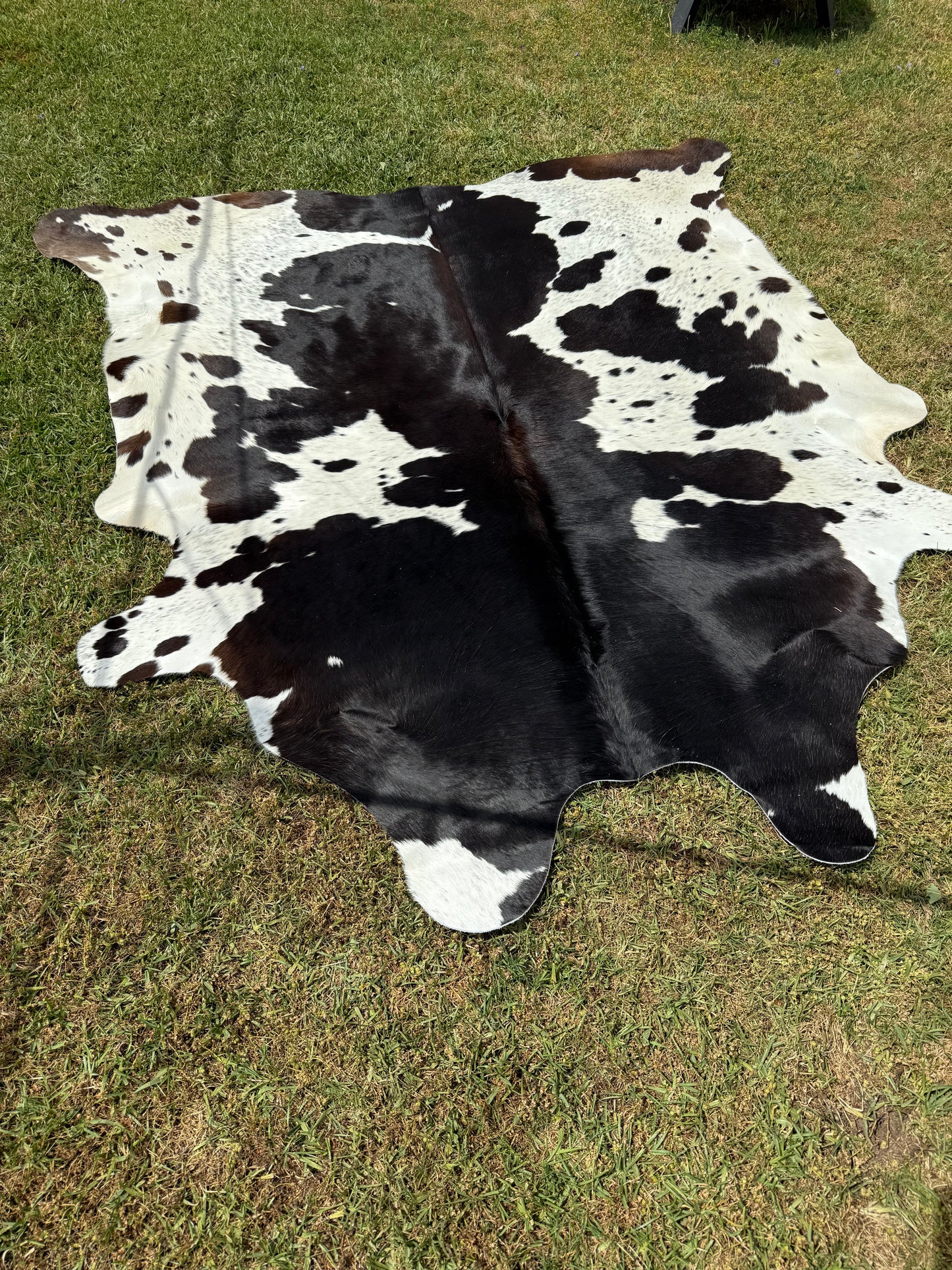 Cowhide Rug 346
