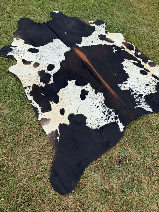 Cowhide Rug 347