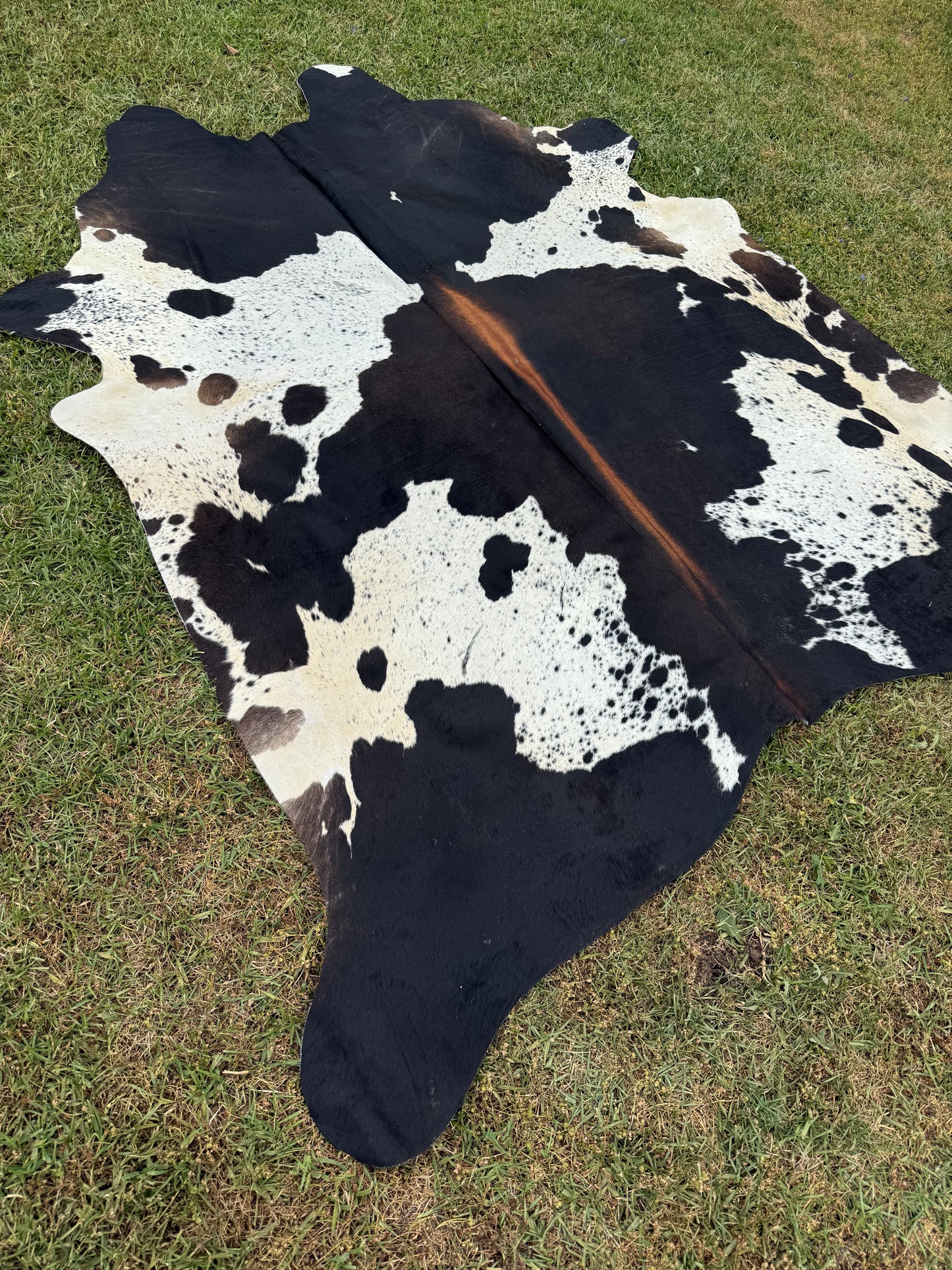 Cowhide Rug 348