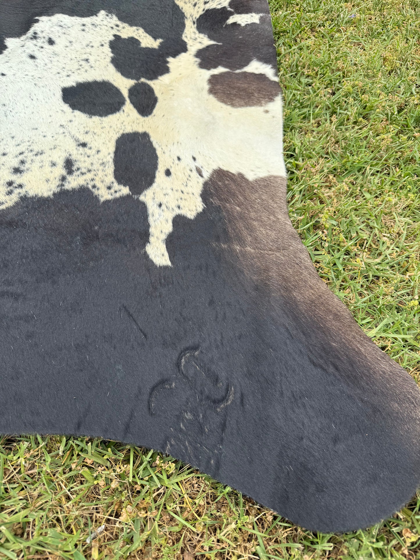 Cowhide Rug 347