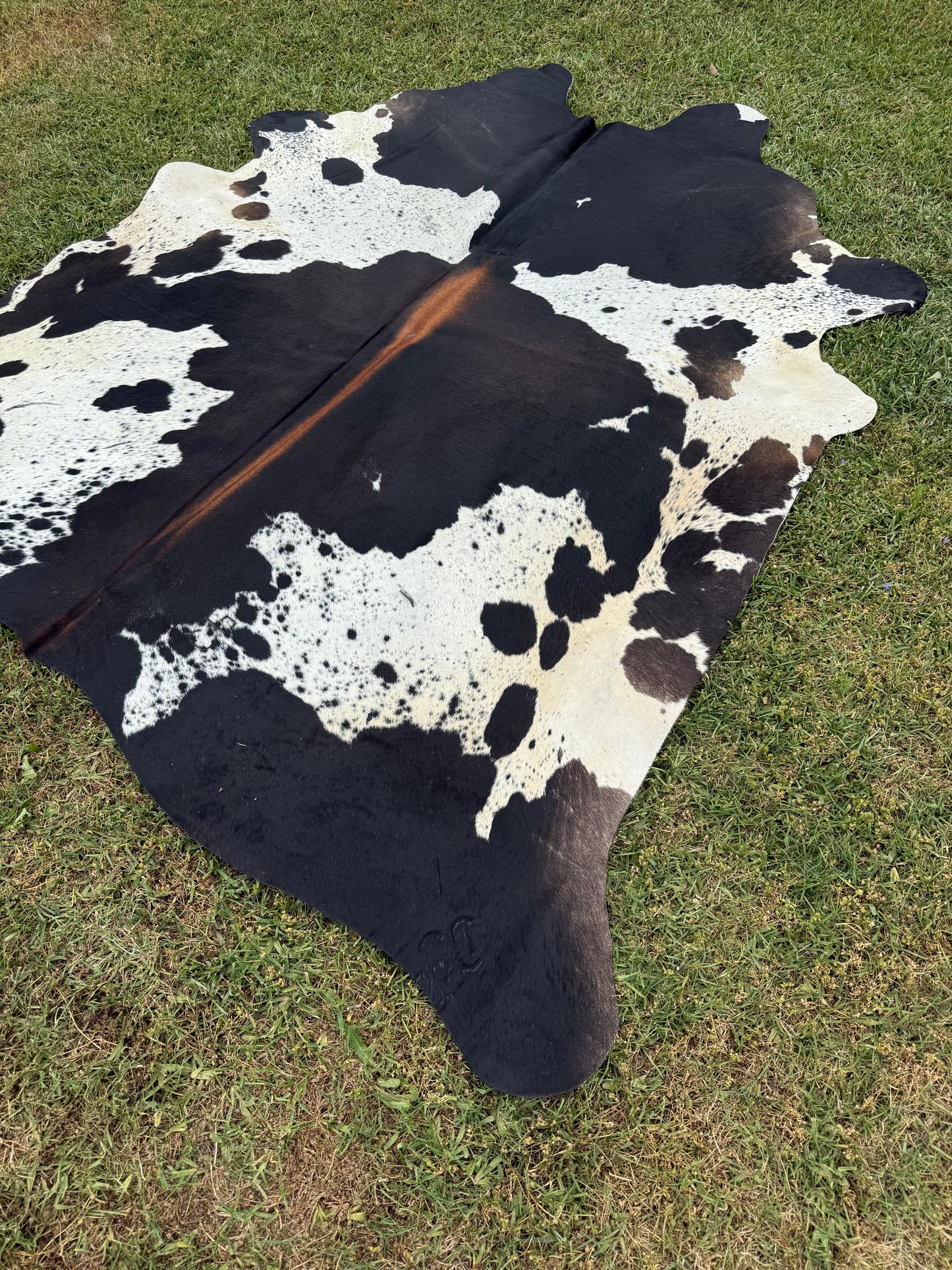 Cowhide Rug 347