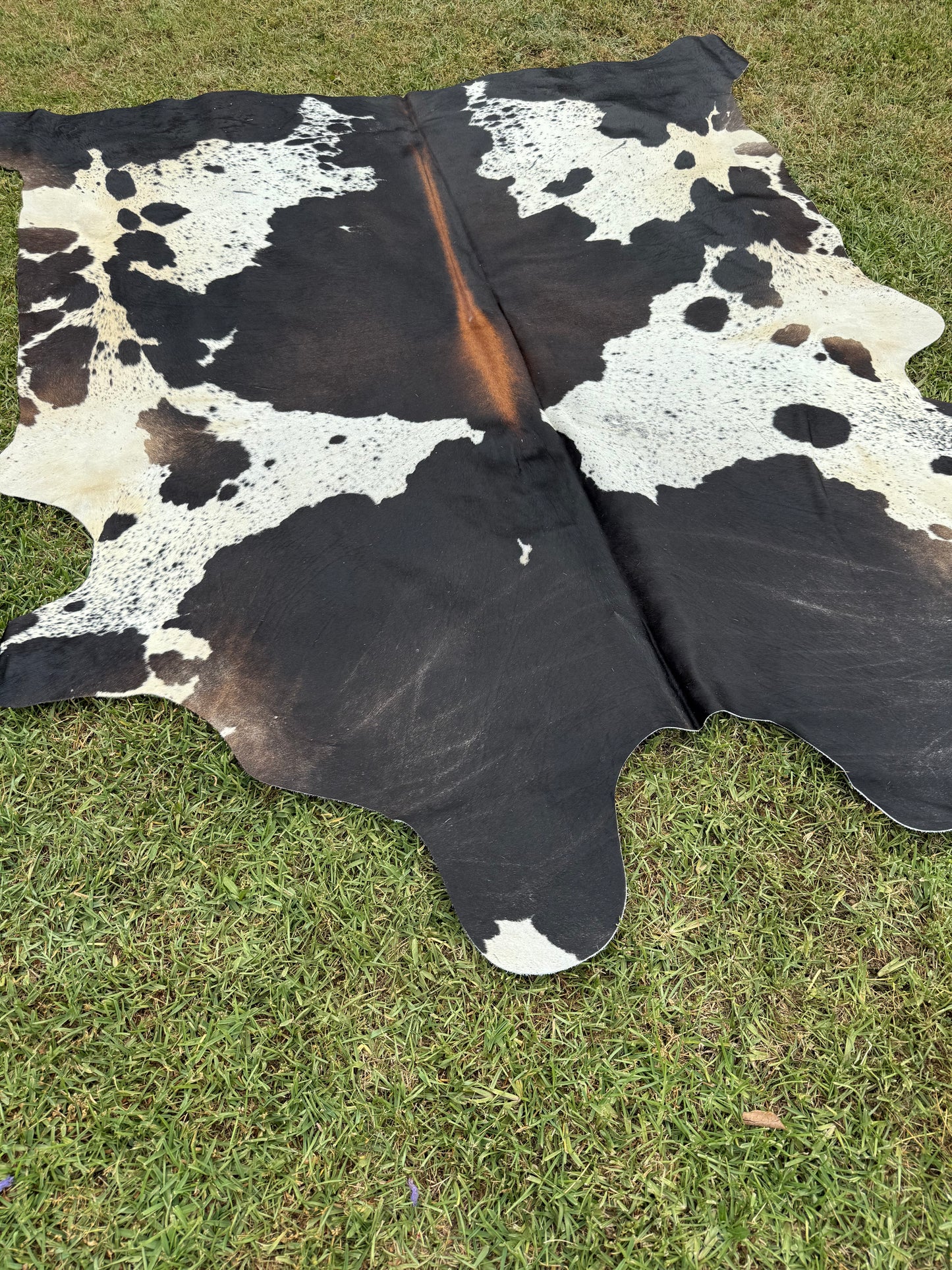 Cowhide Rug 347