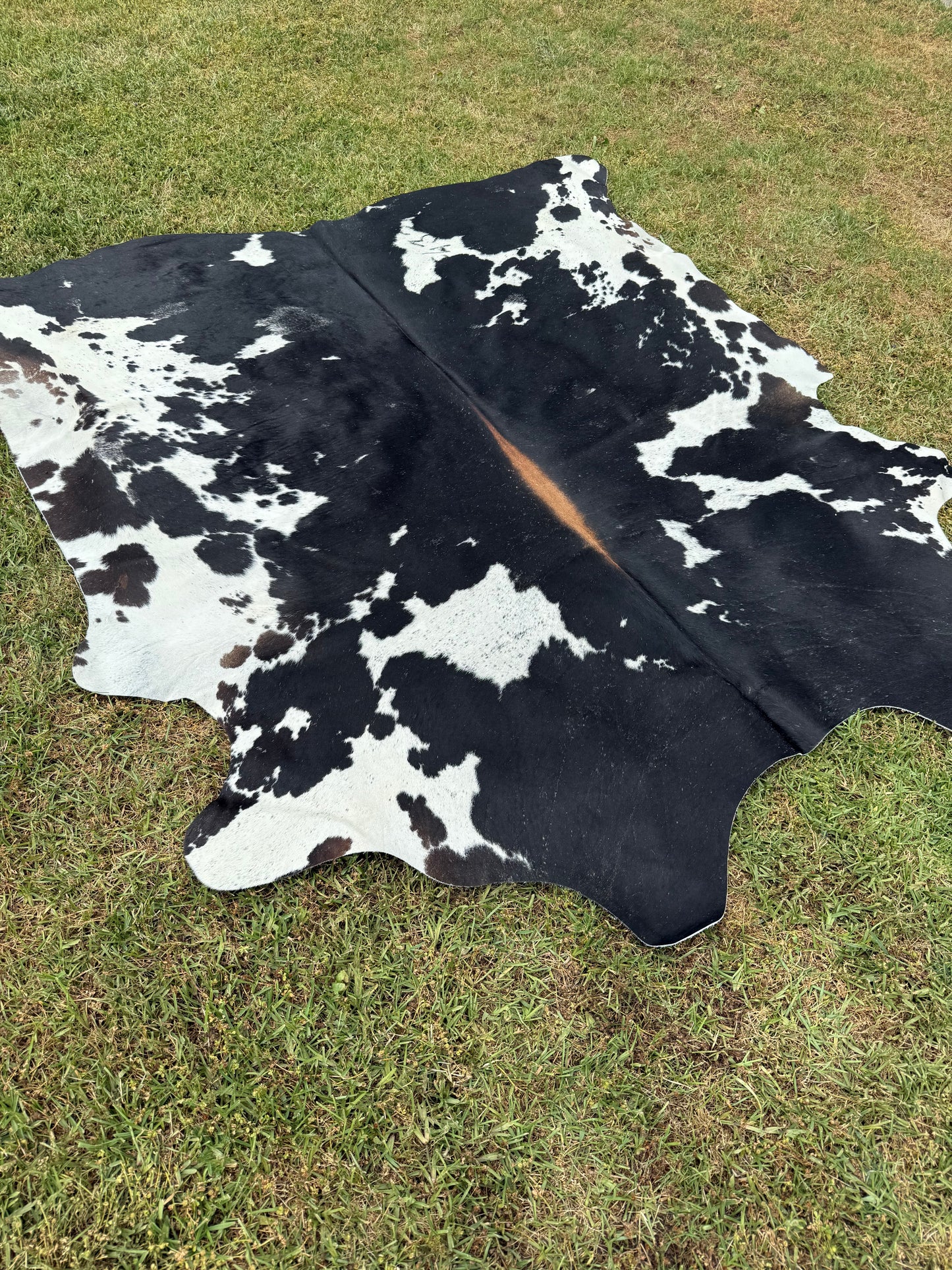 Cowhide Rug 348